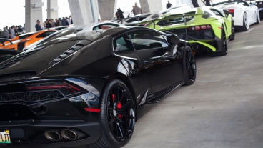 Bullfest 2016 :: Miami