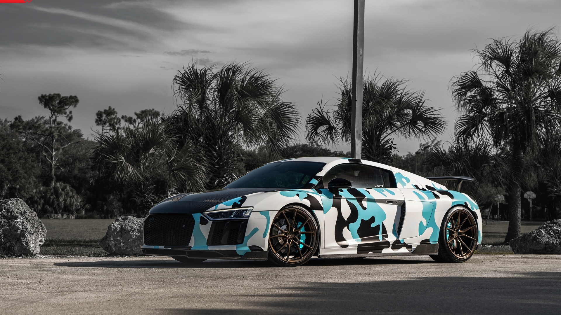 ANRKY AN12 | Audi R8