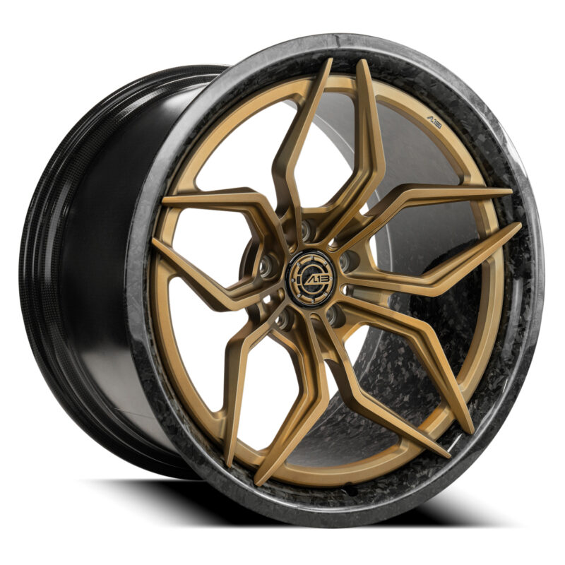 AL13 Wheels | CF-R70