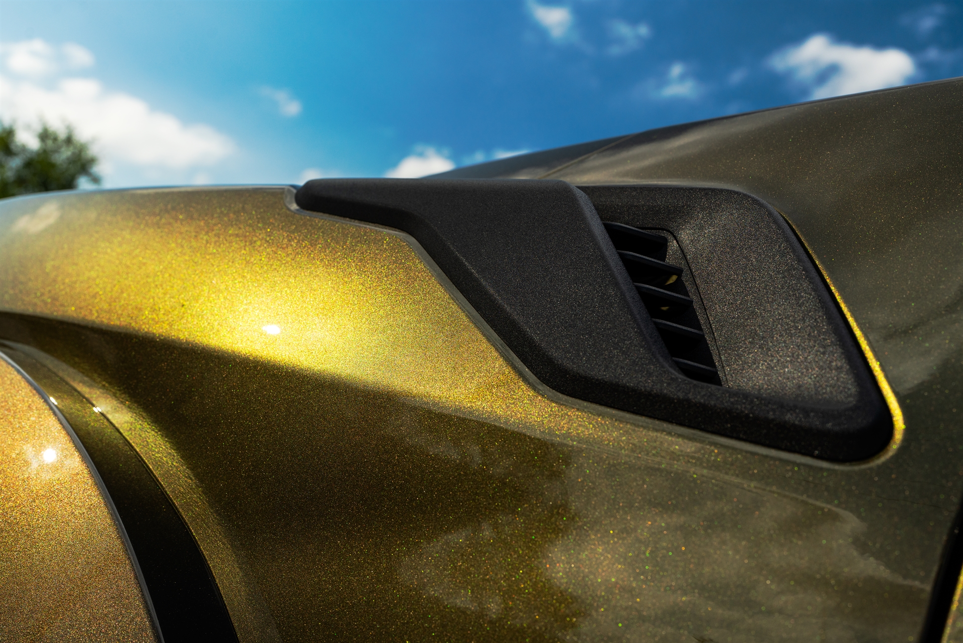 ANRKY AN36 Satin Brushed Champange | Ford Raptor R