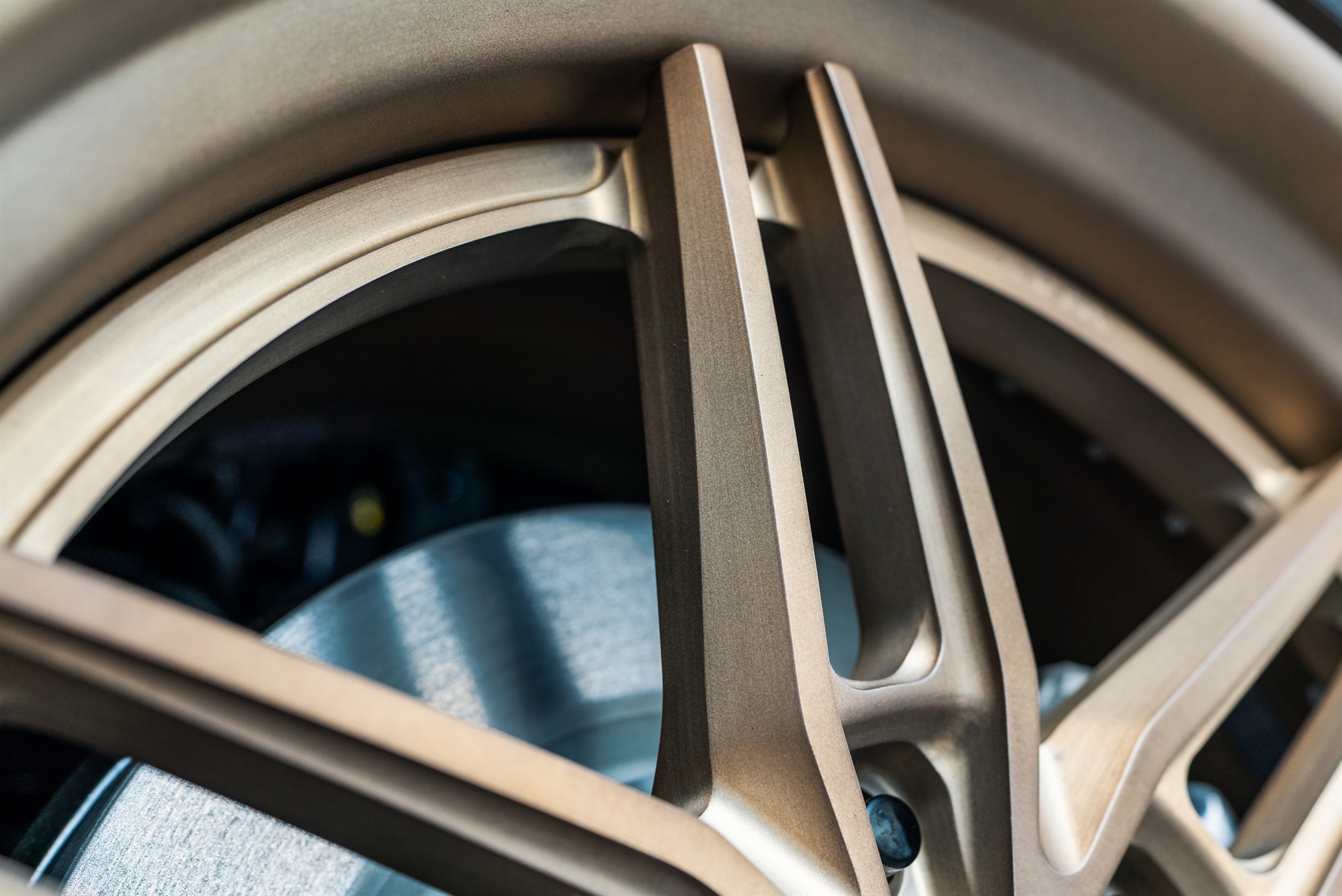 ANRKY AN36 Satin Brushed Champange | Ford Raptor R