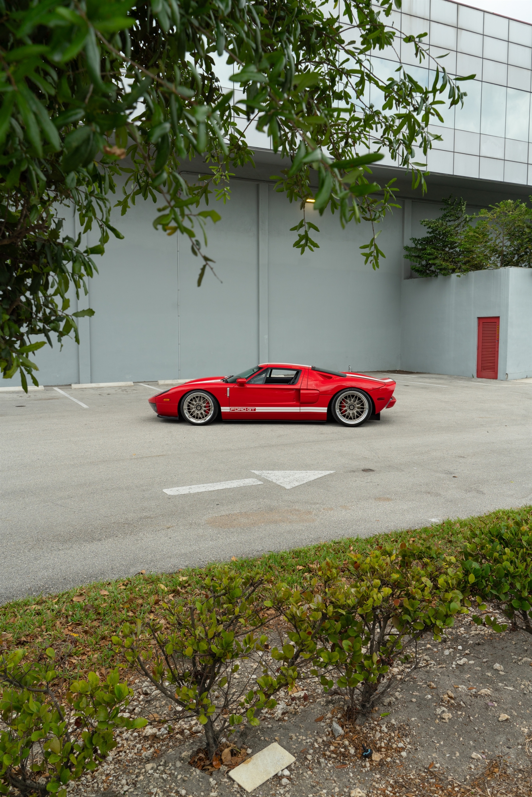 Ford GT MK1 | Ruby Red | on ANRKY RS1 | Satin White Gold