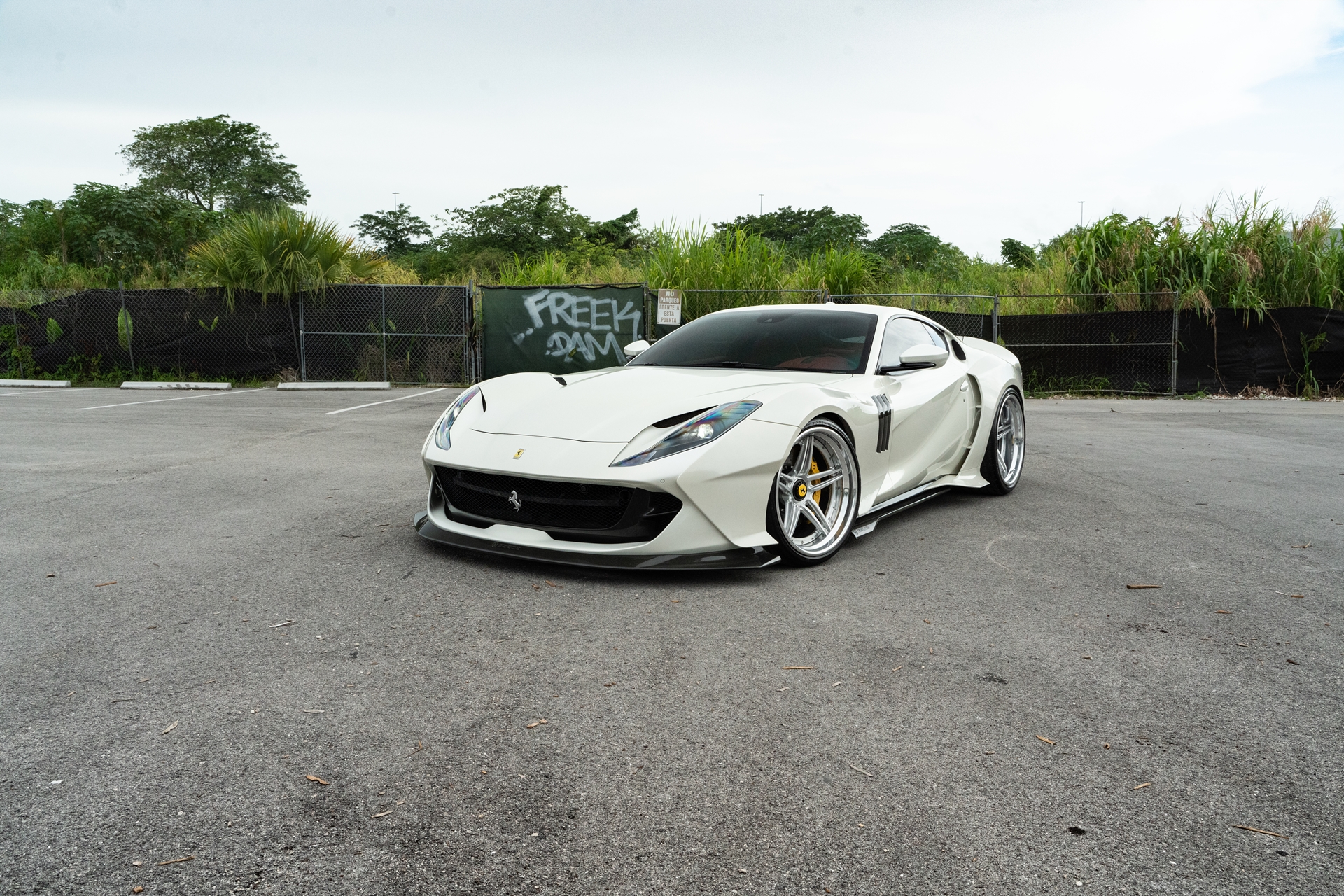 ZACOE 812 GTS | Bianco Fuji | on 1886 XR003 | Brushed Clear