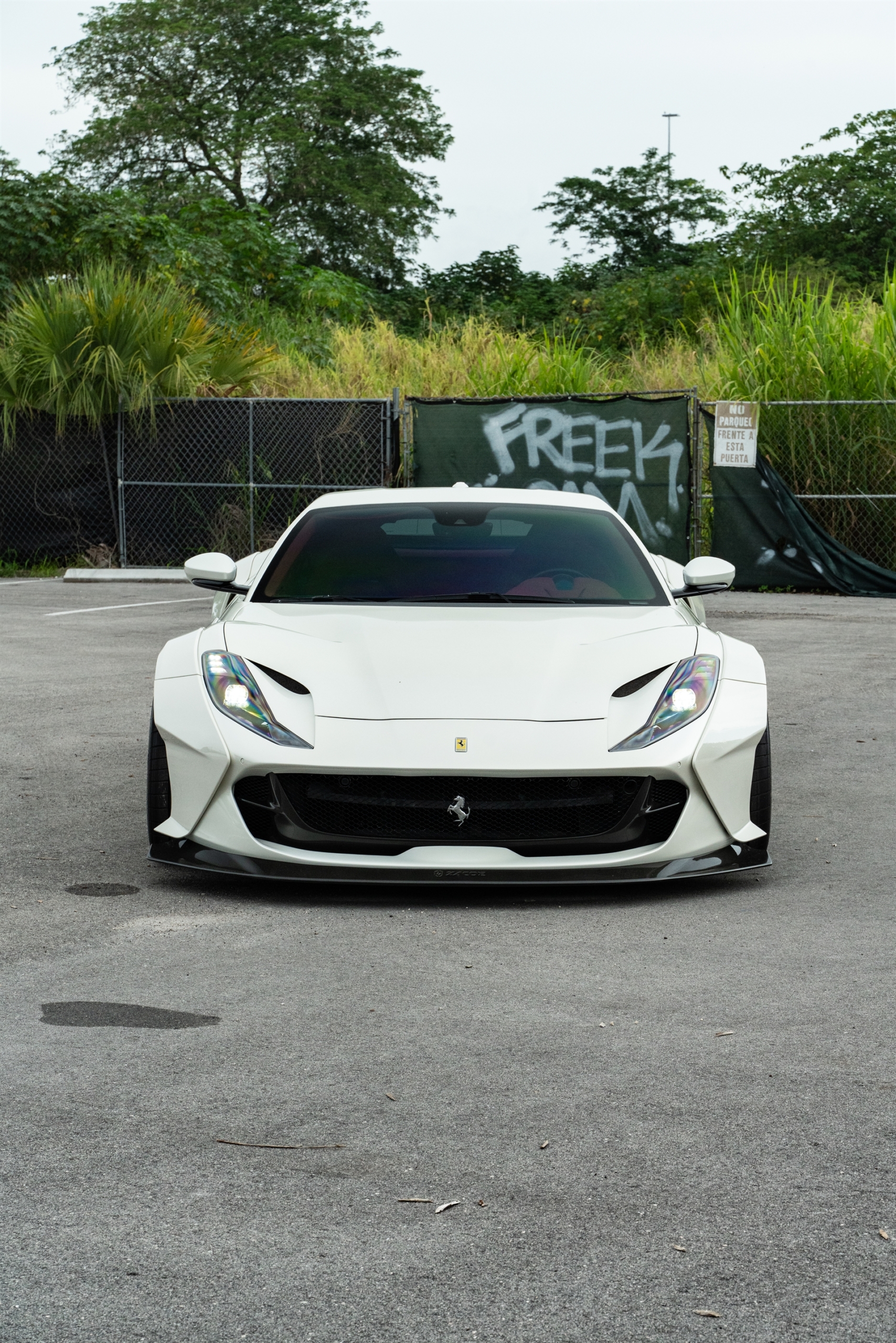 ZACOE 812 GTS | Bianco Fuji | on 1886 XR003 | Brushed Clear