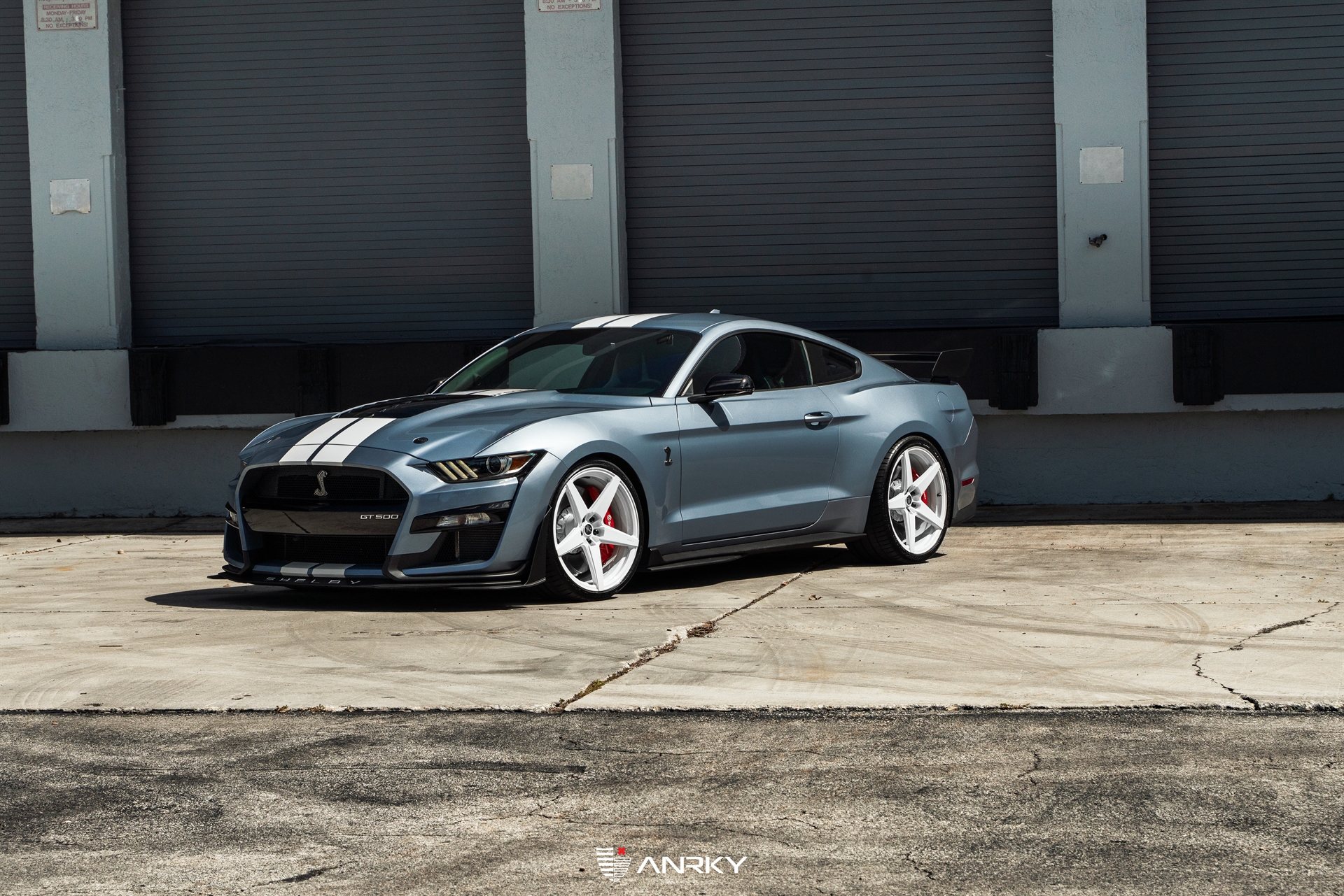 Ford Shelby GT500 – RETROSeries RS5.1
