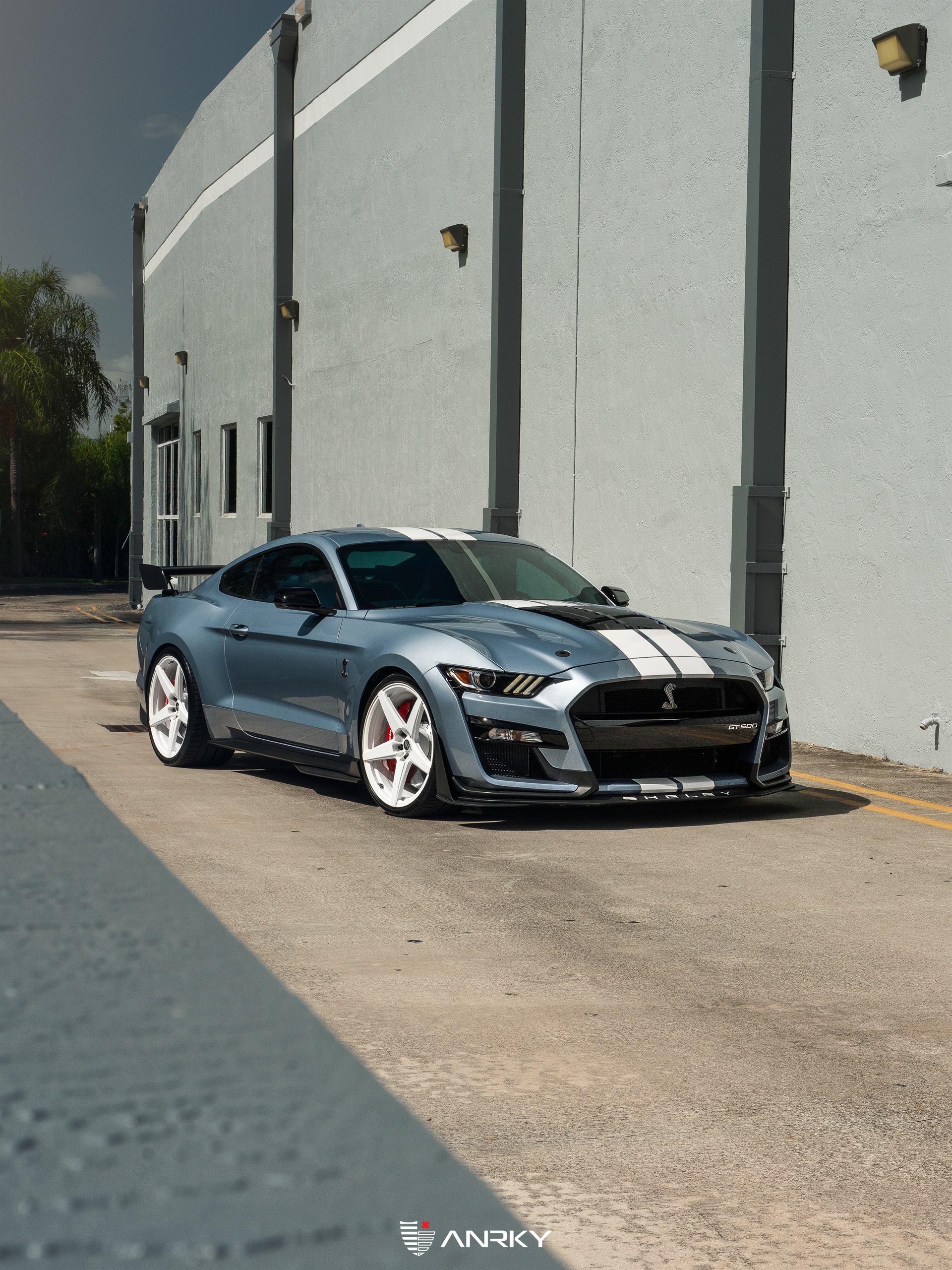 Ford Shelby GT500 – RETROSeries RS5.1