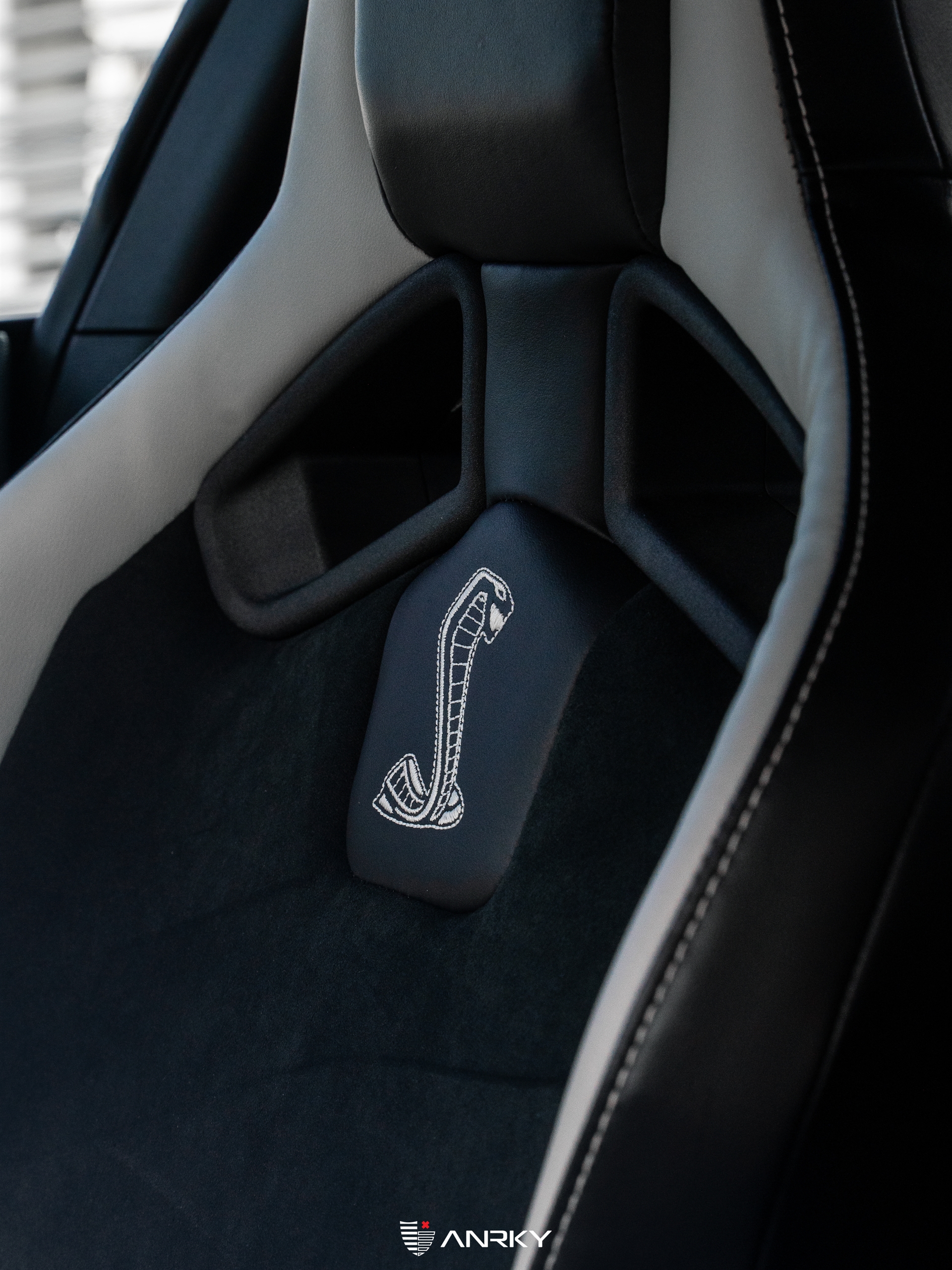 Ford Shelby GT500 – RETROSeries RS5.1