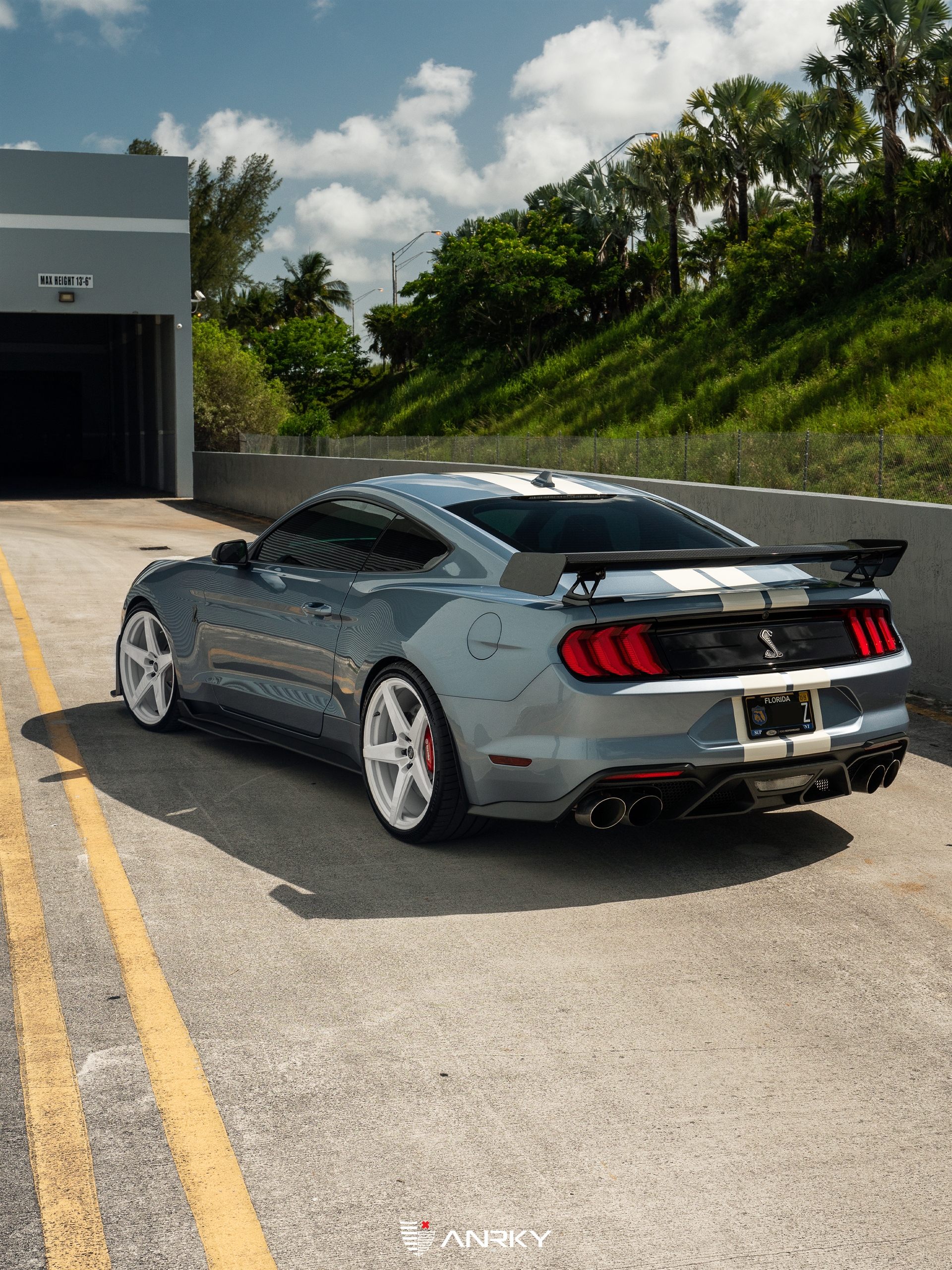 Ford Shelby GT500 – RETROSeries RS5.1