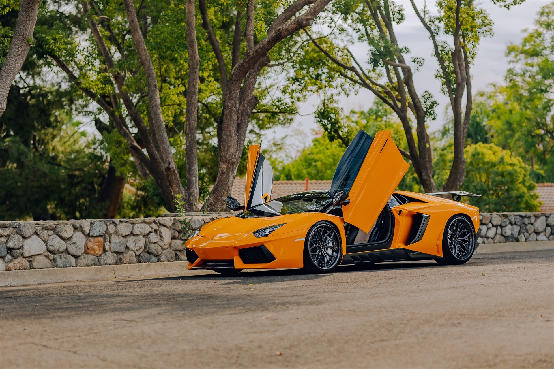 AL13 R80 | Lamborghini Aventador 1