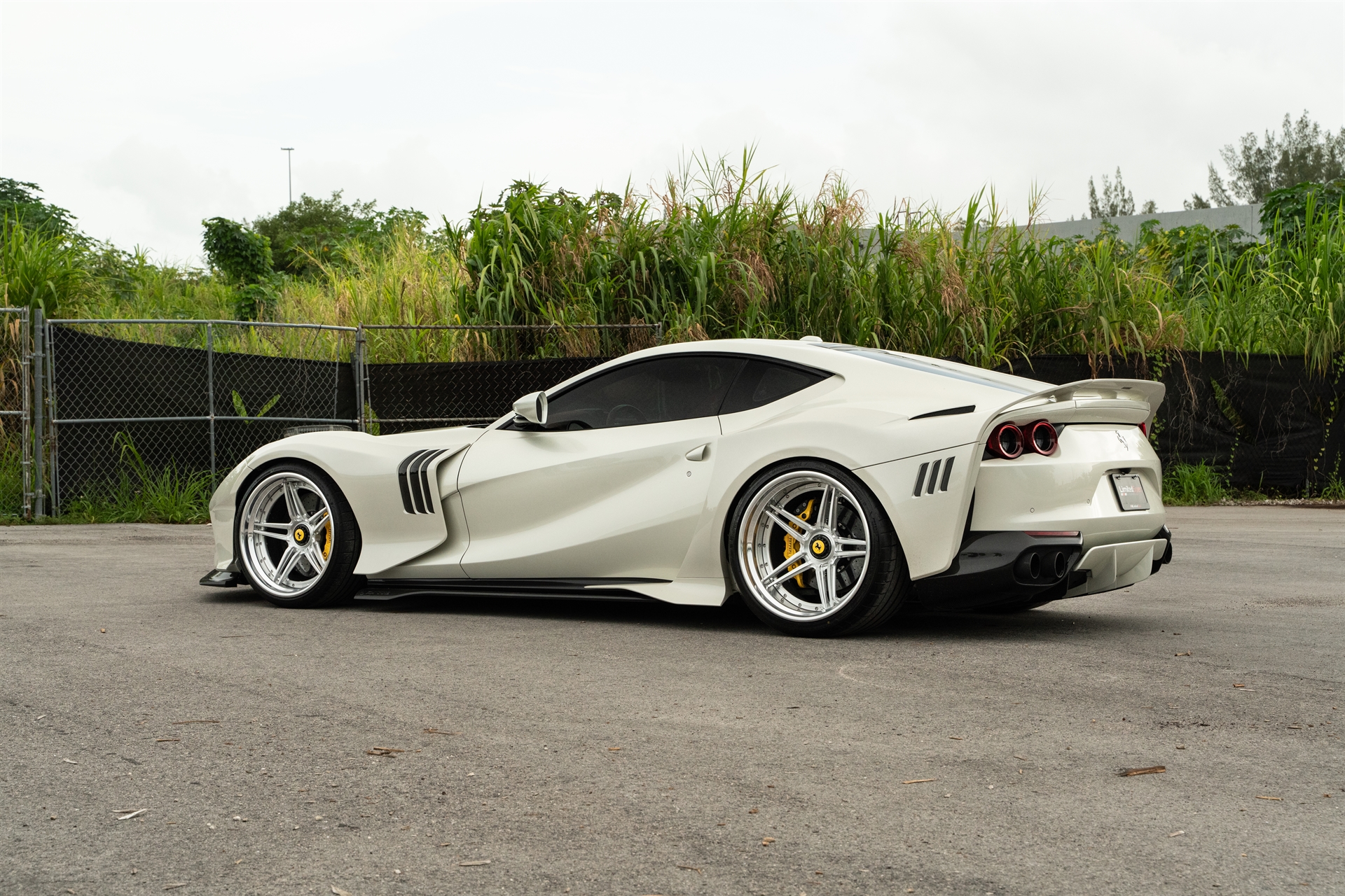 ZACOE 812 GTS | Bianco Fuji | on 1886 XR003 | Brushed Clear