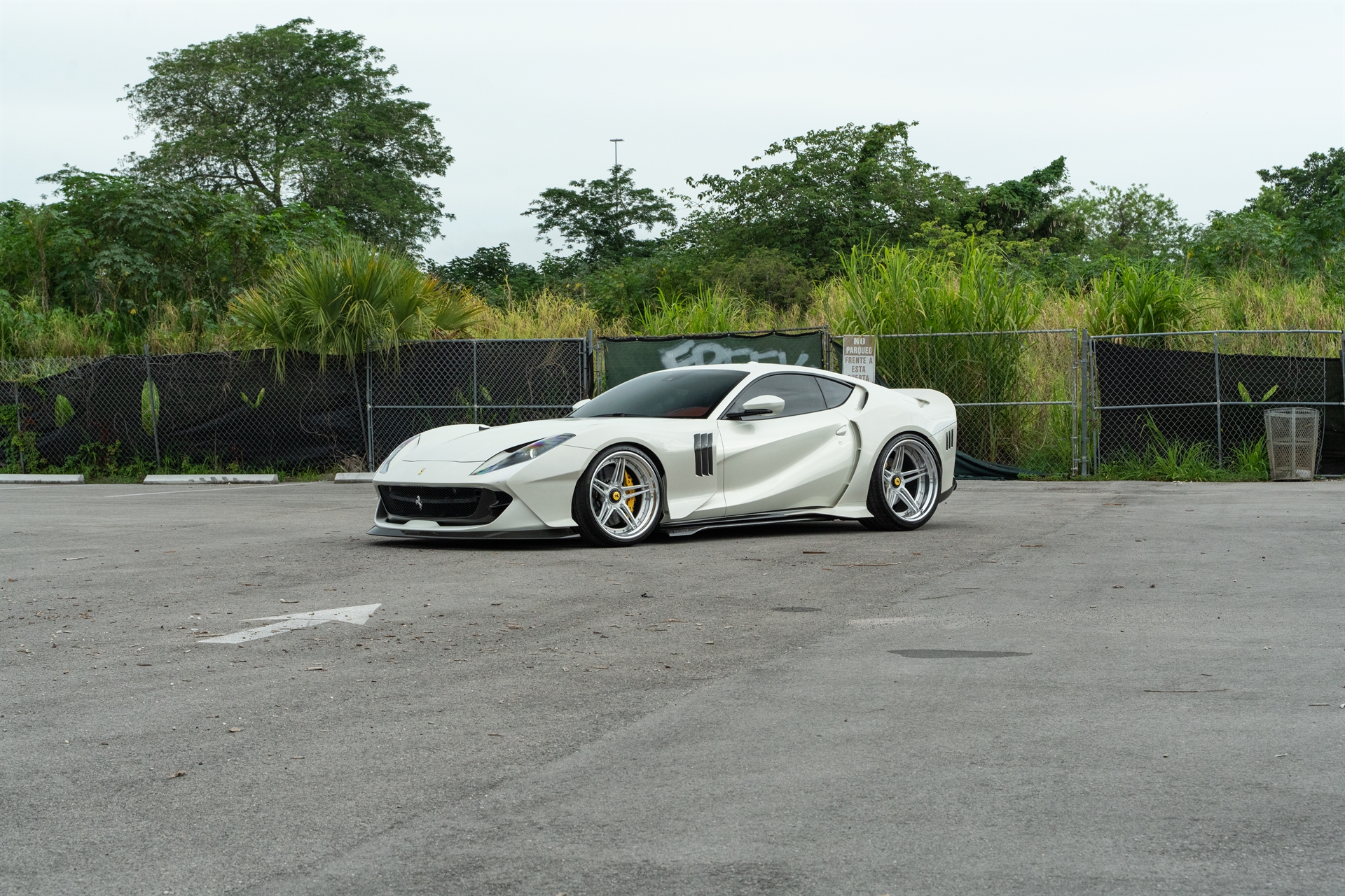 ZACOE 812 GTS | Bianco Fuji | on 1886 XR003 | Brushed Clear