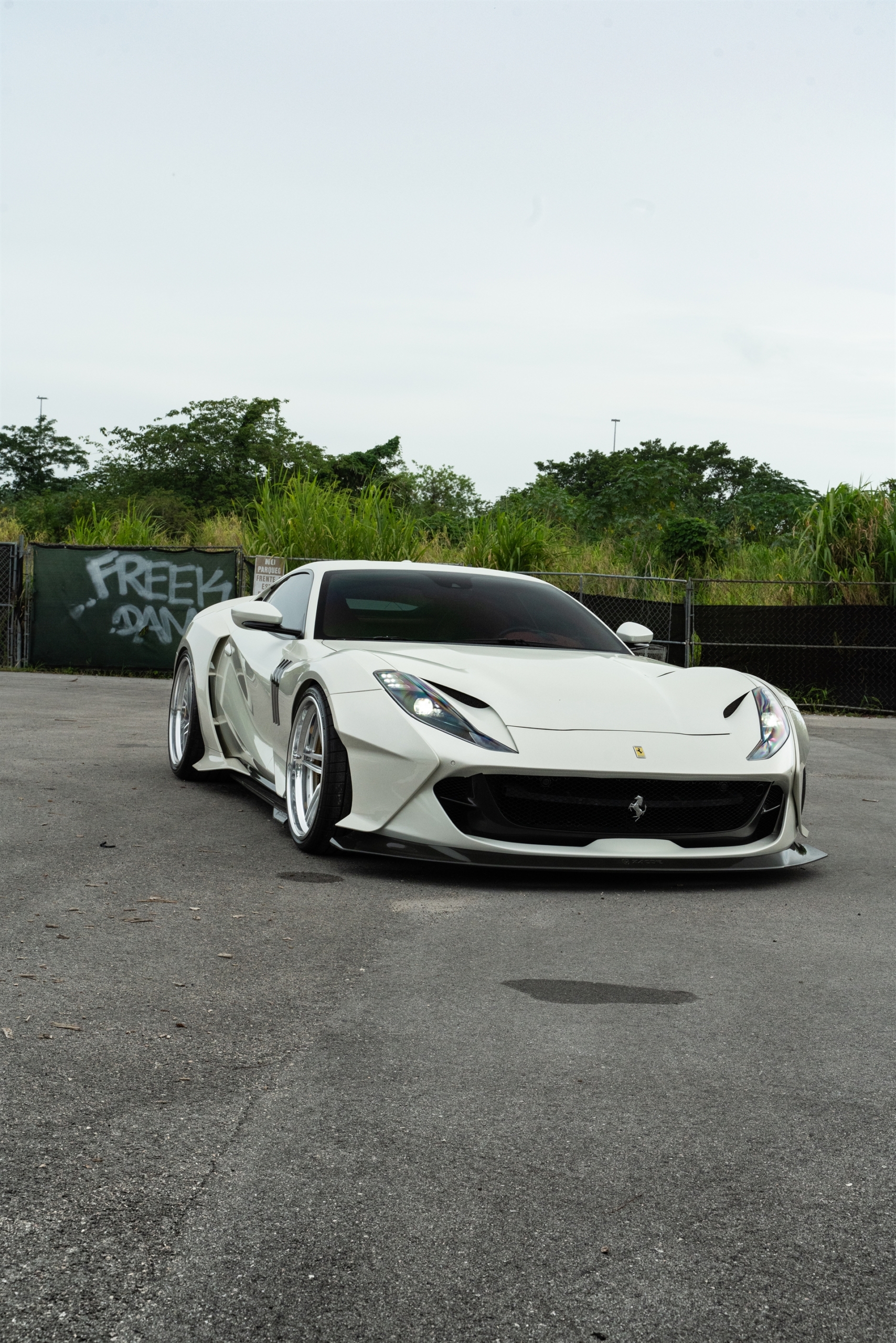 ZACOE 812 GTS | Bianco Fuji | on 1886 XR003 | Brushed Clear