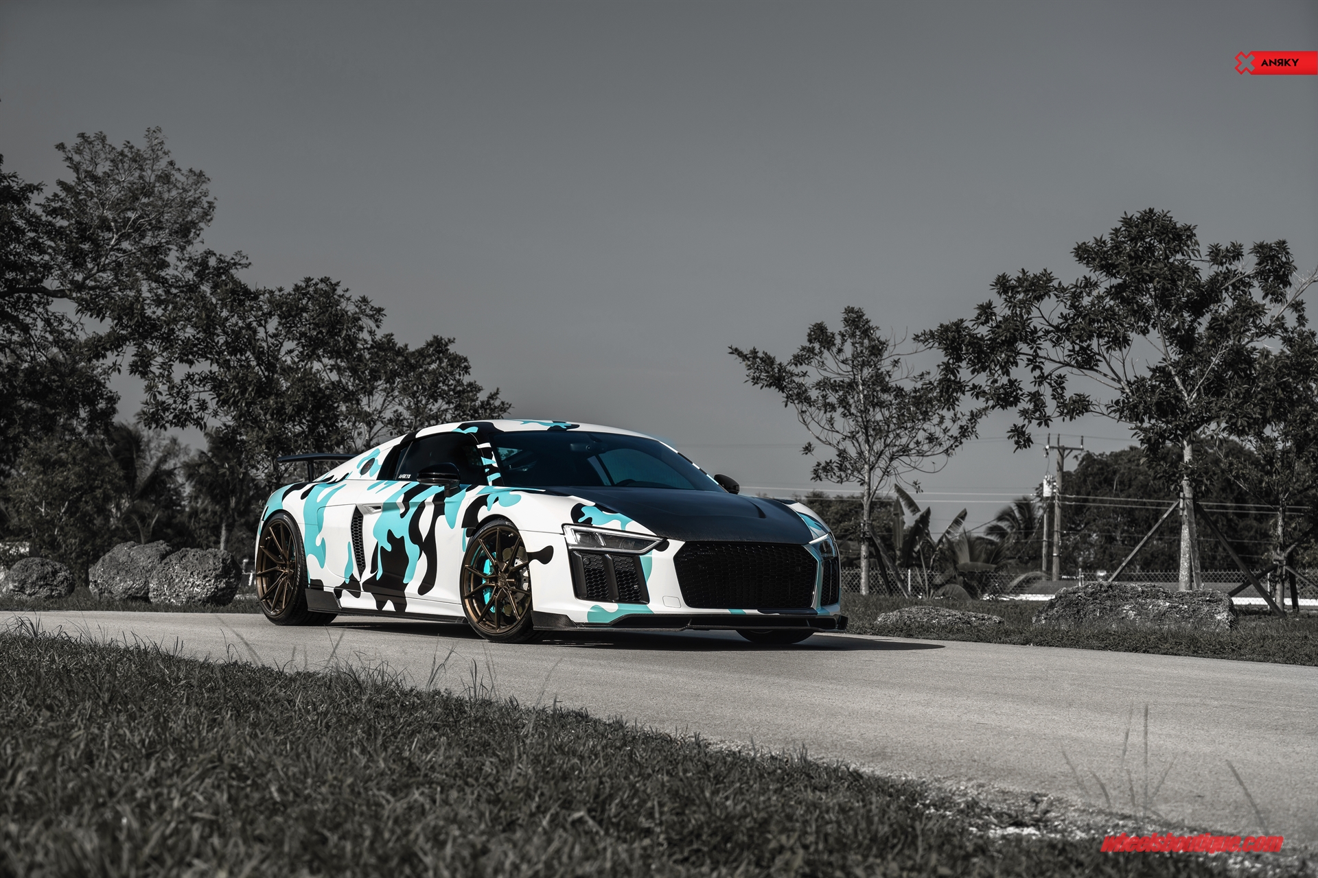 ANRKY AN12 | Audi R8