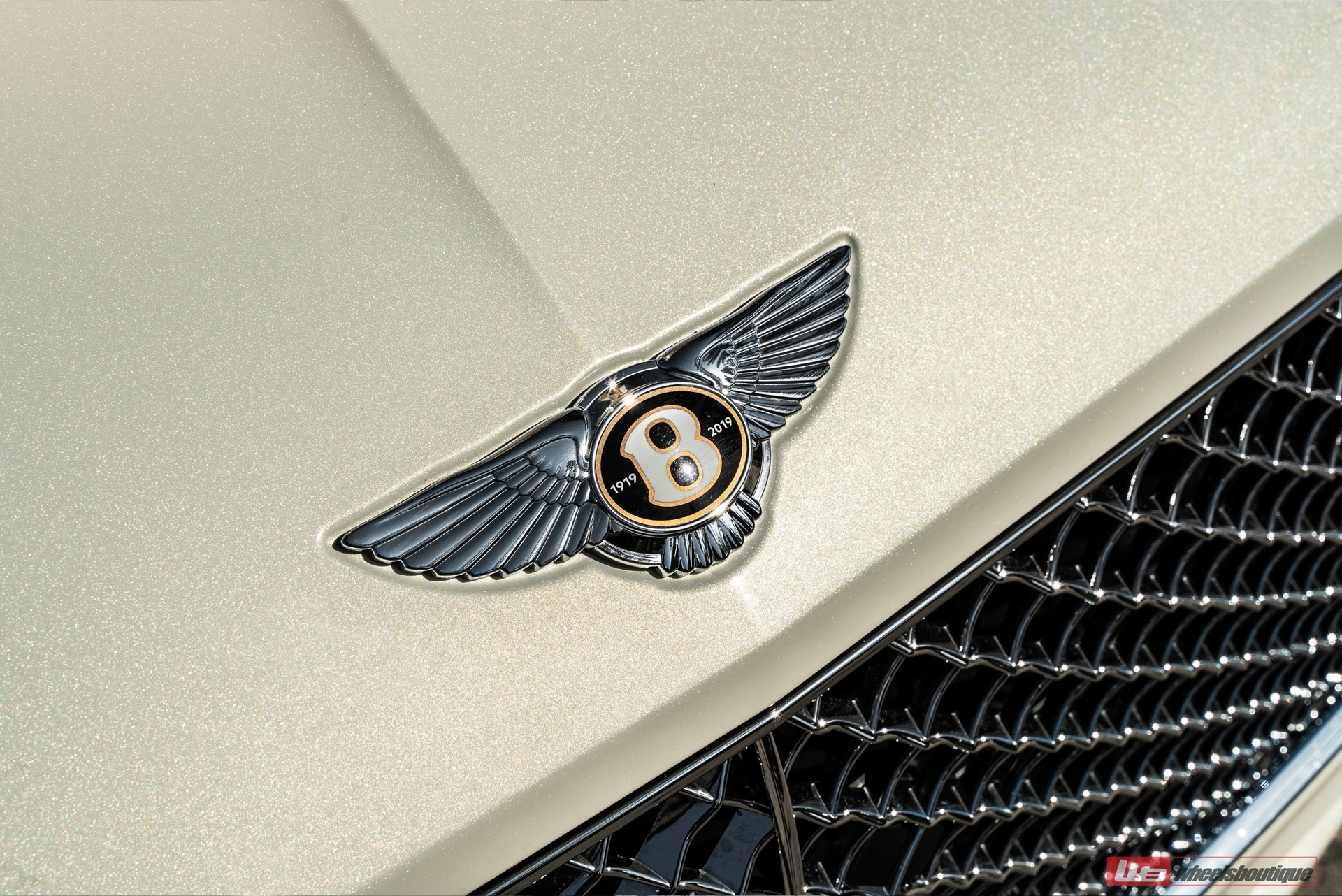 ANRKY AN19 | Bentley Continental GT