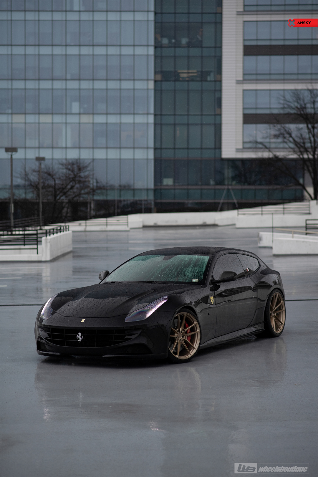 ANRKY AN14 | Ferrari FF