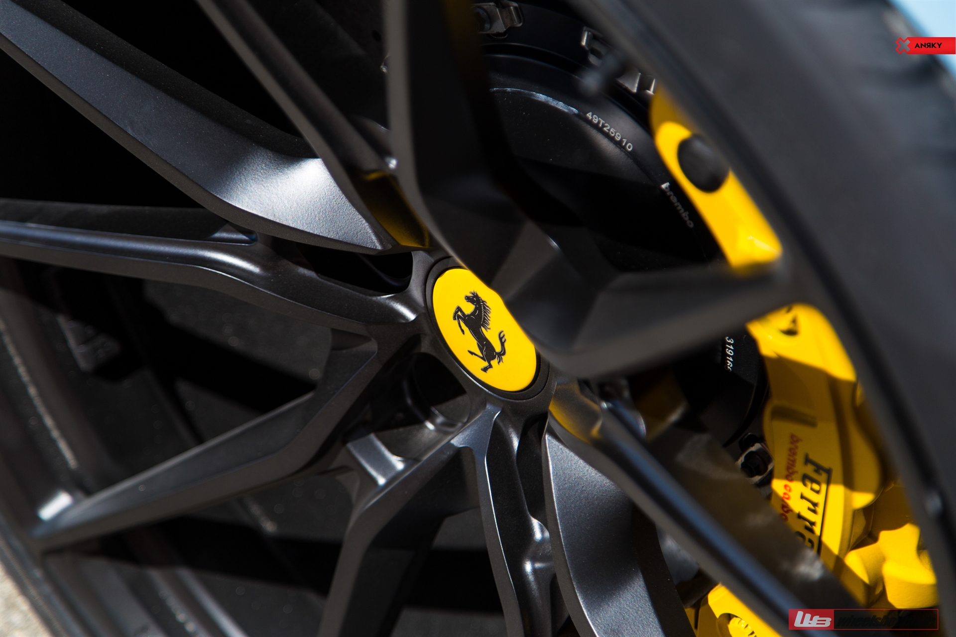 FERRARI 488 SPIDER | Azzuro La Plata | on ANRKY AN12 | Satin Black