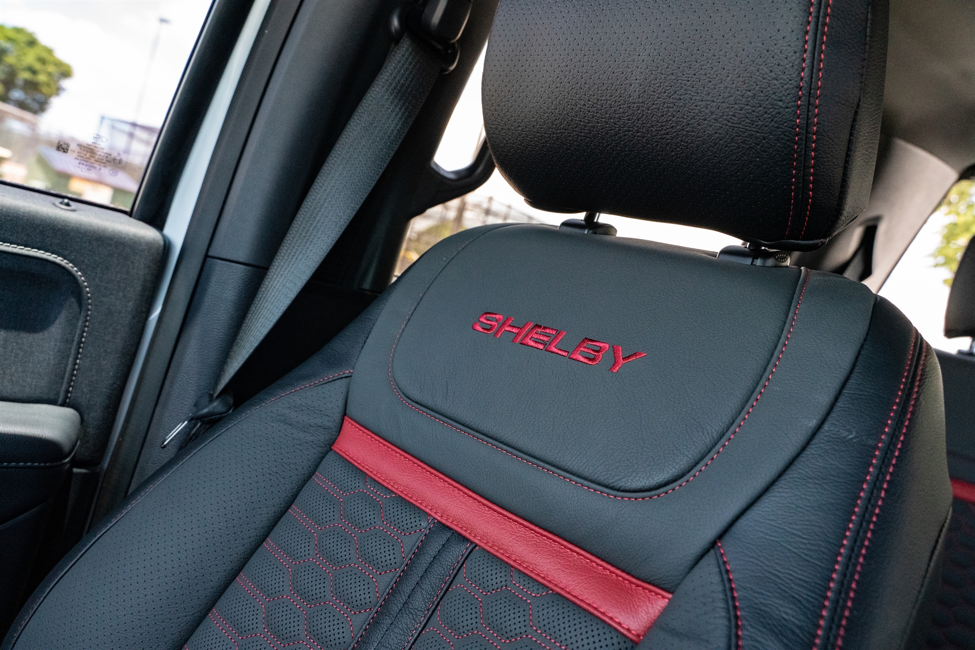 Shelby Super Snake Ford F-150 | Oxford White | on ANRKY RS6.3 | Satin Space Blue