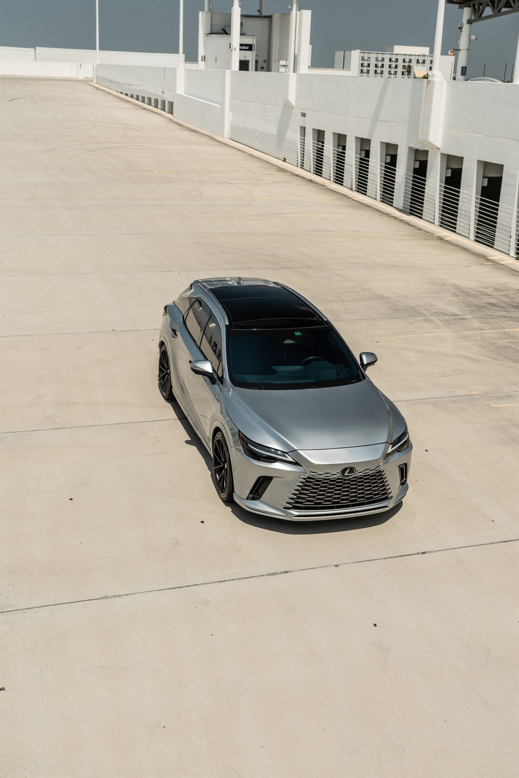 HRE P204 Wheels | Lexus RX350