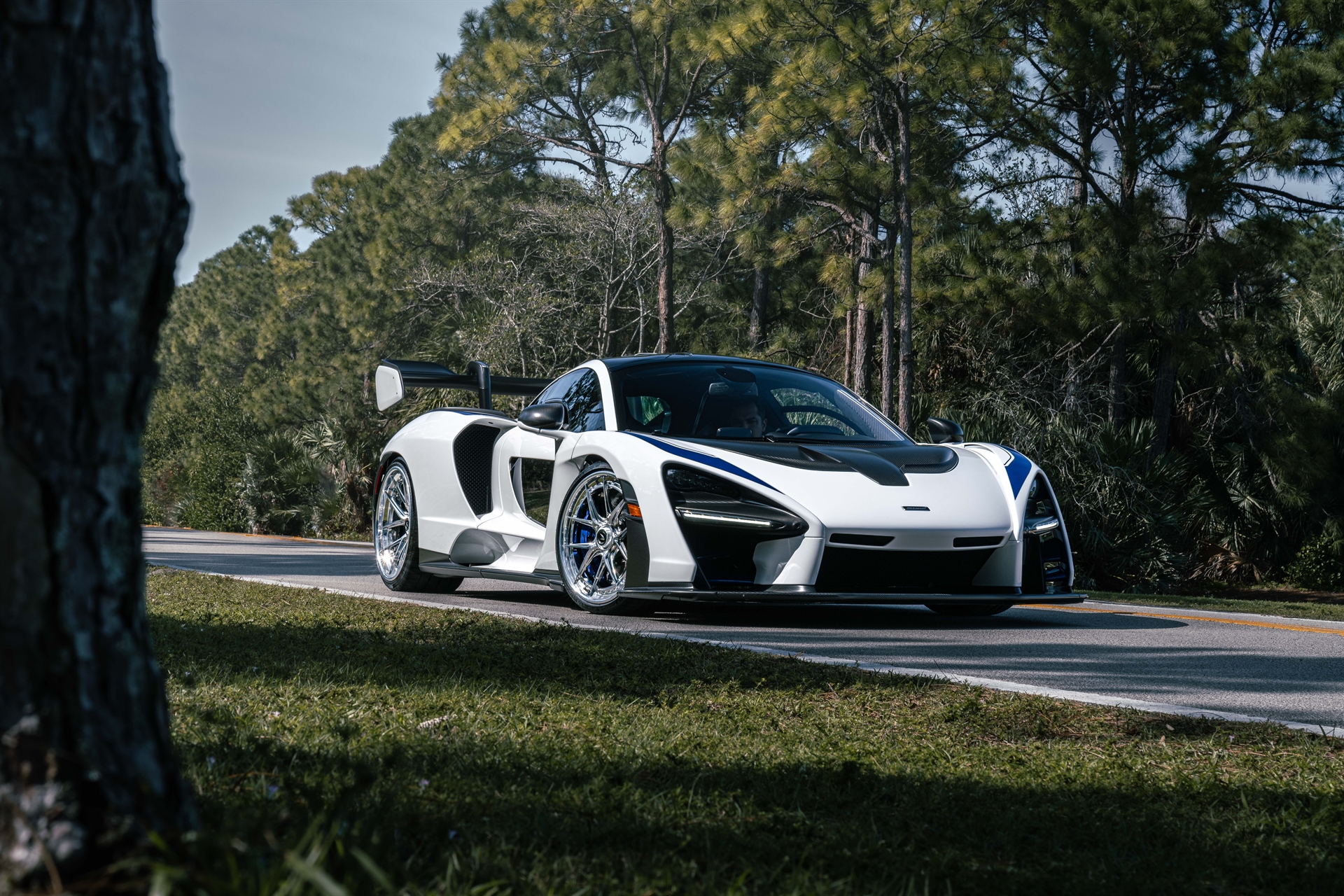 ANRKY XR|Series XR-301 | McLaren Senna