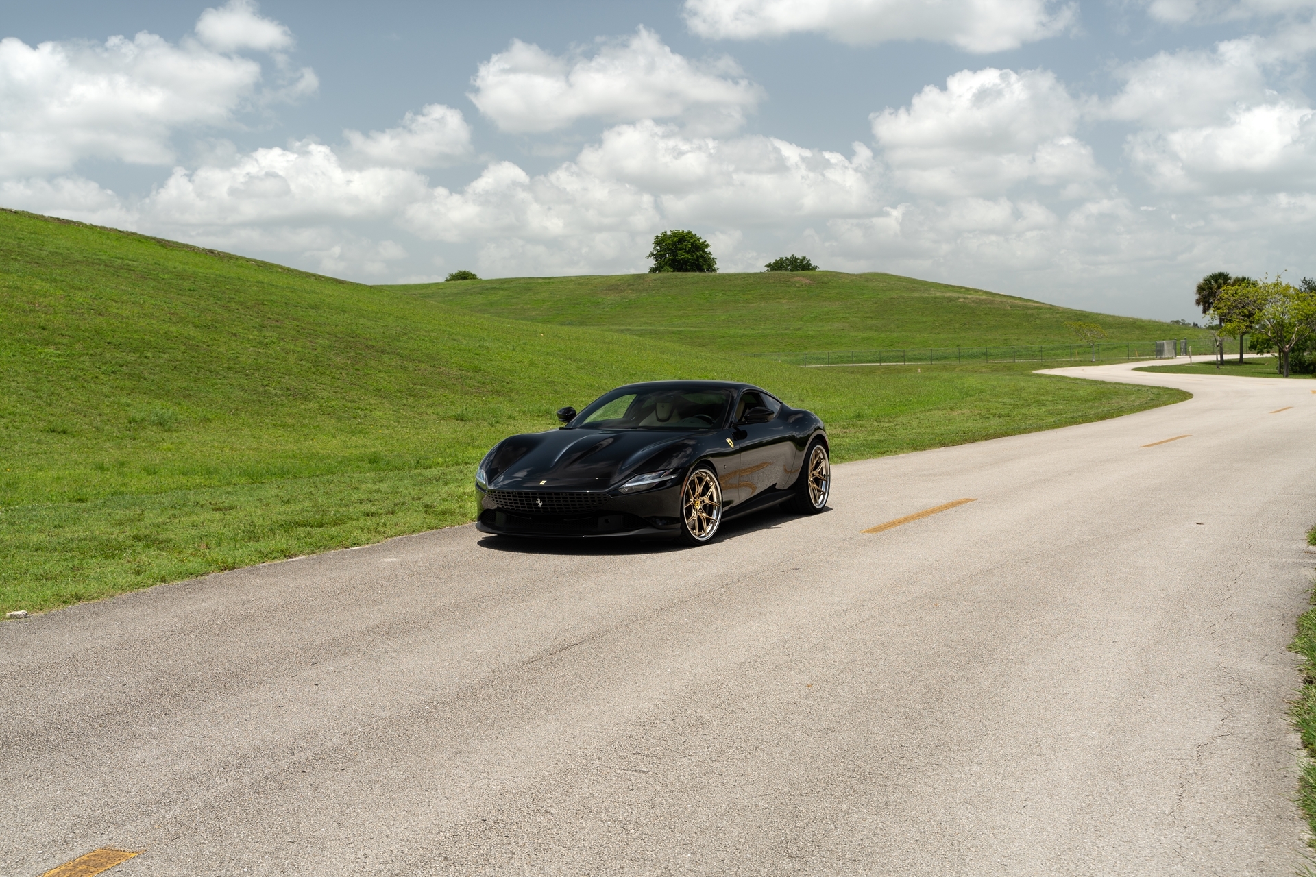 AL13 R60 | Ferrari Roma