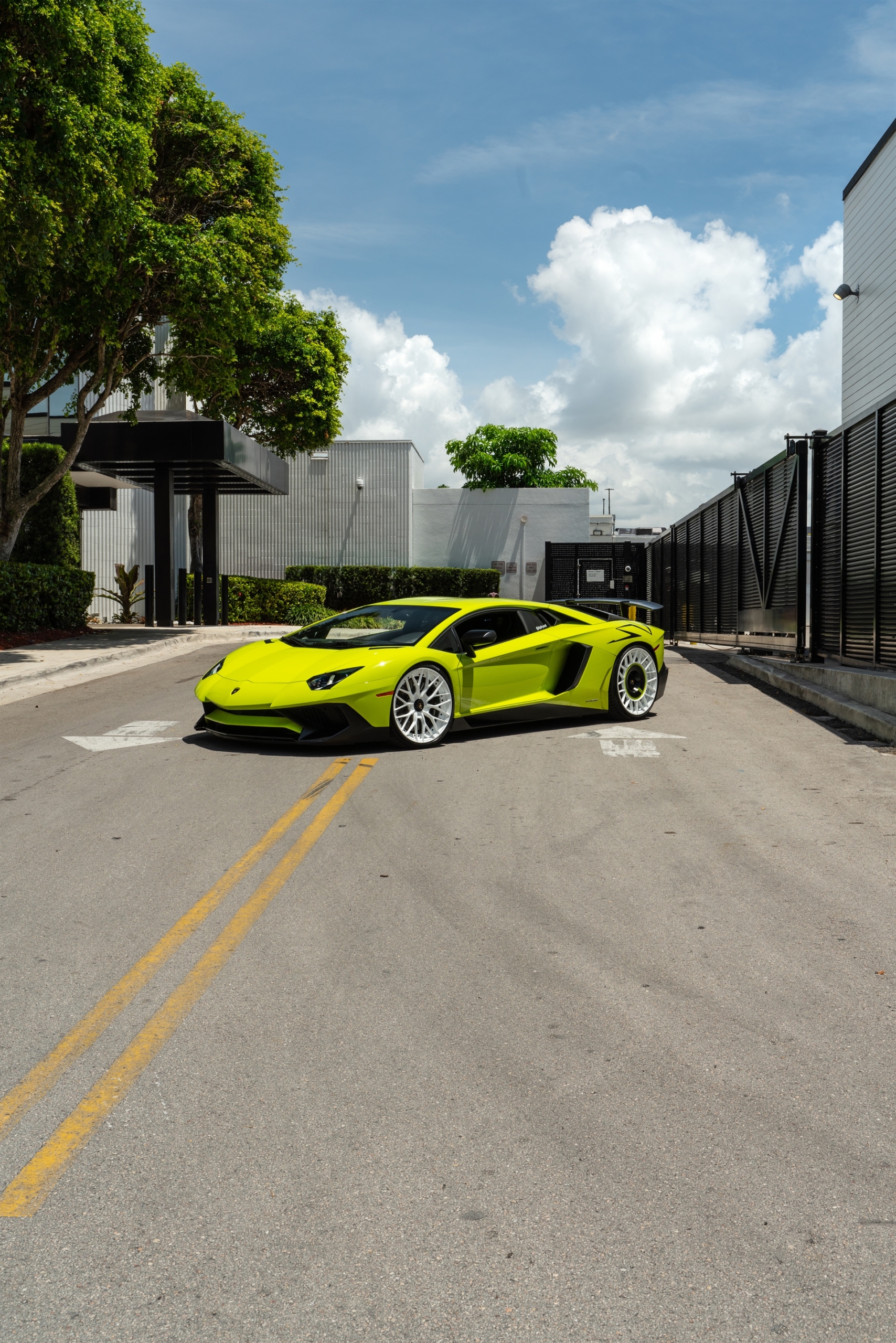 Lamborghini Aventador SV | Verde Scandal | on ANRKY AN20 + AN20 AEROSport | Gloss White