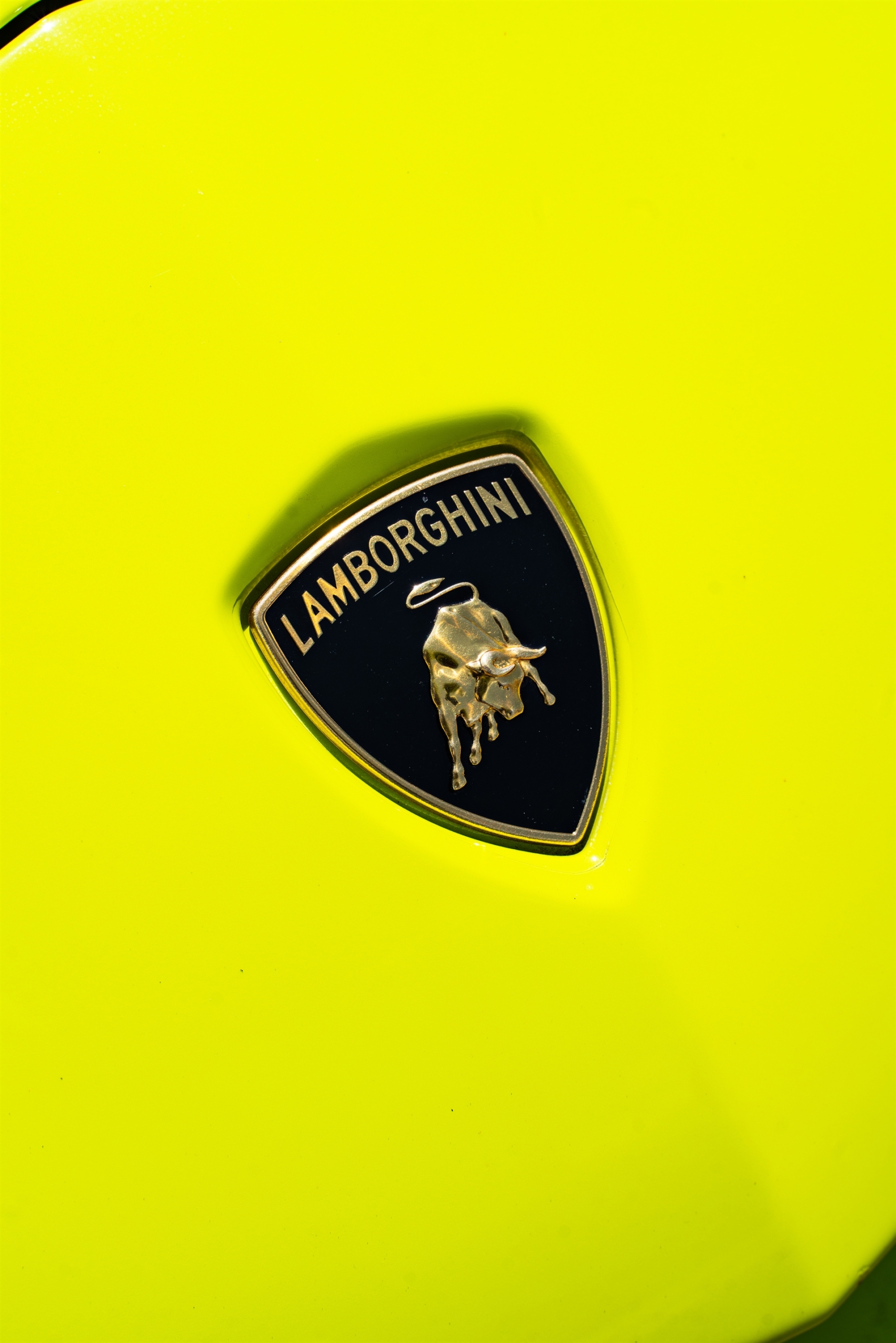 Lamborghini Aventador SV | Verde Scandal | on ANRKY AN20 + AN20 AEROSport | Gloss White