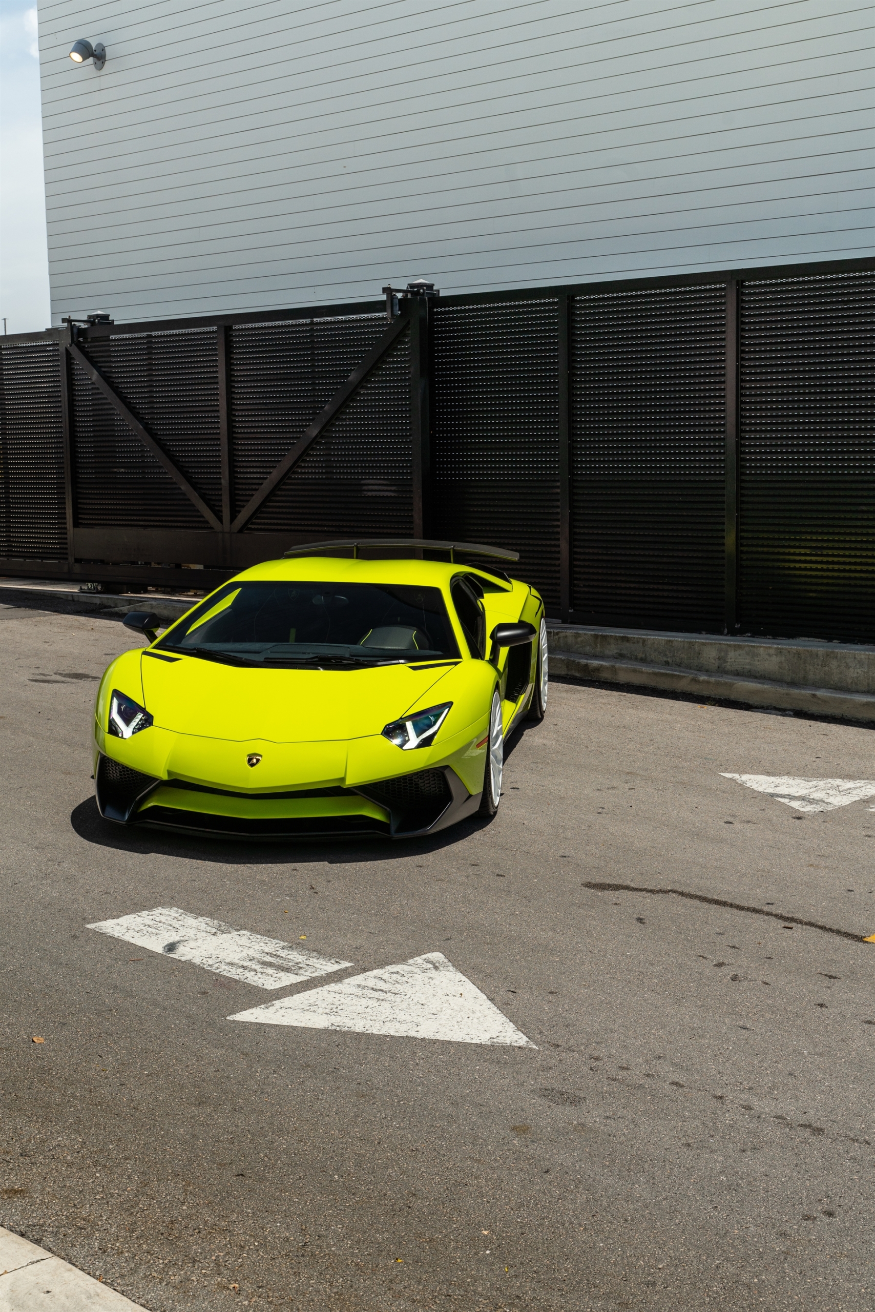 Lamborghini Aventador SV | Verde Scandal | on ANRKY AN20 + AN20 AEROSport | Gloss White