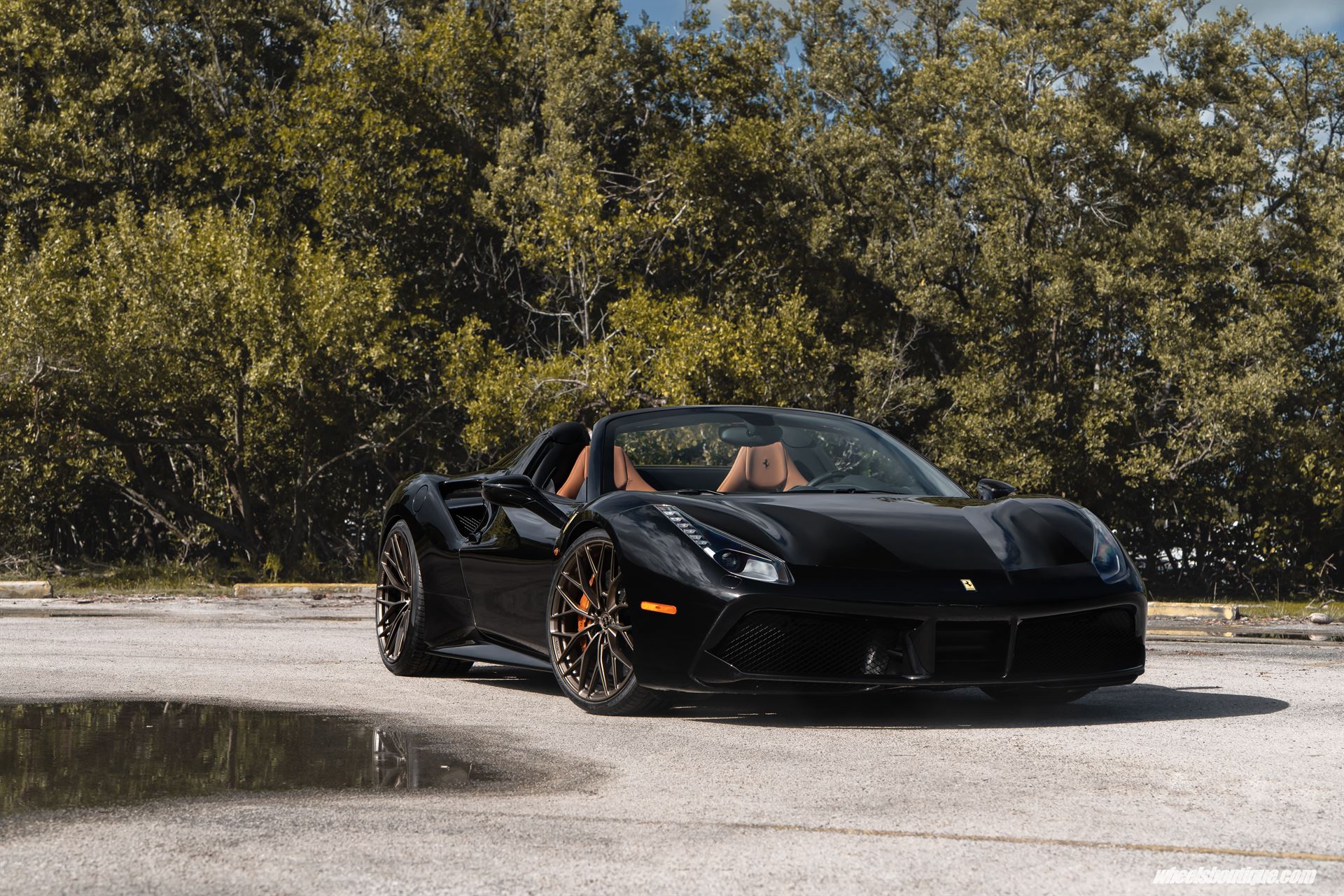 Ferrari 488 Spider | Nero | on ANRKY AN10 | Satin Bronze