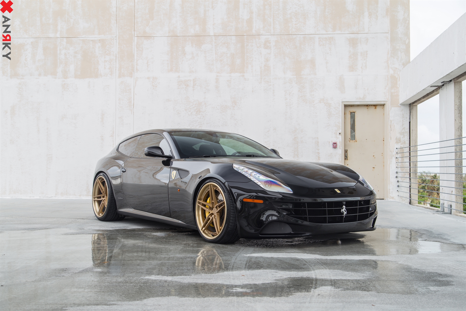 ANRKY AN37 | Ferrari FF