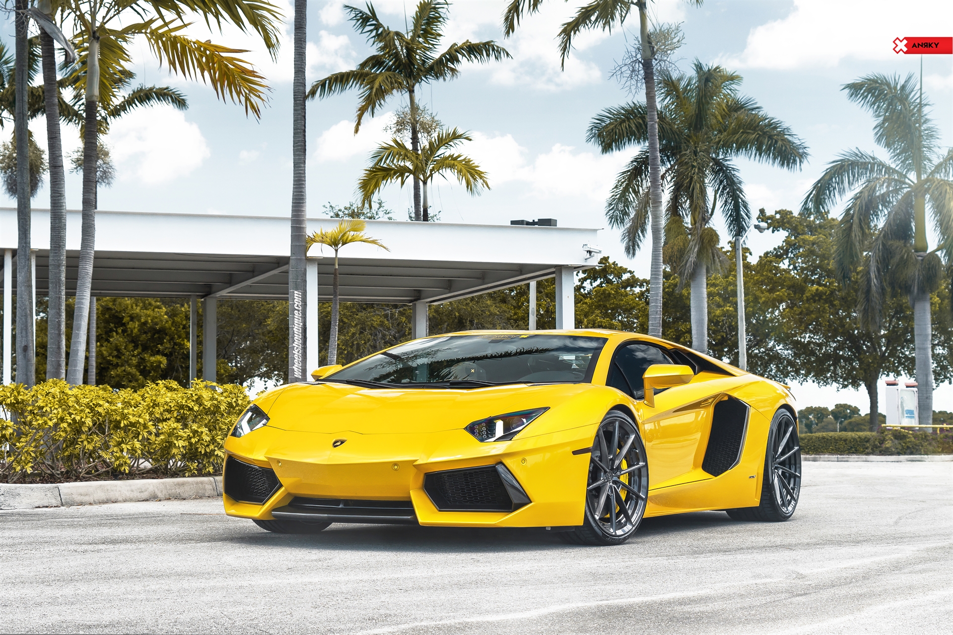 ANRKY AN28 | Lamborghini Aventador