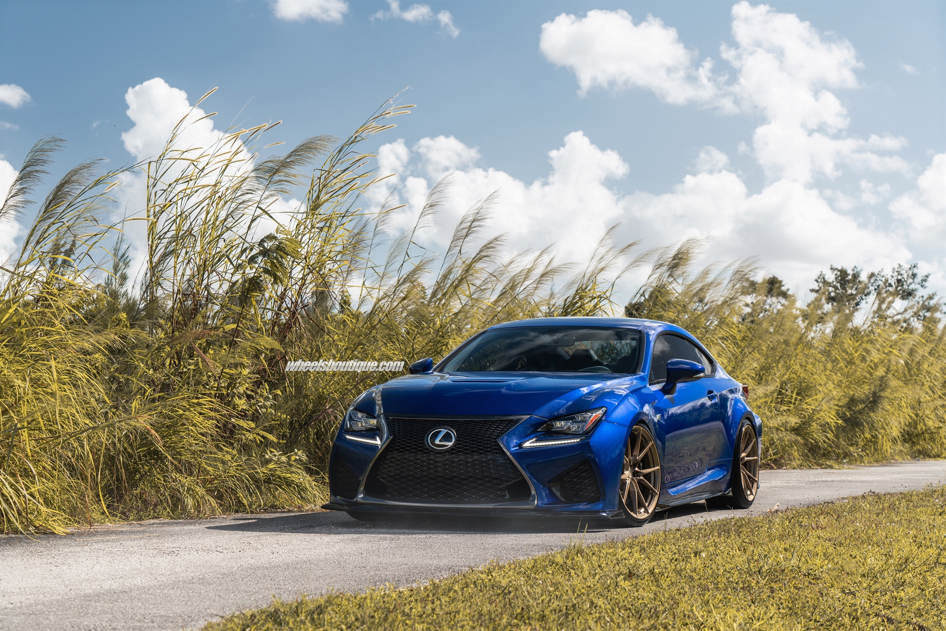 ANRKY Wheels AN12 | Lexus RCF