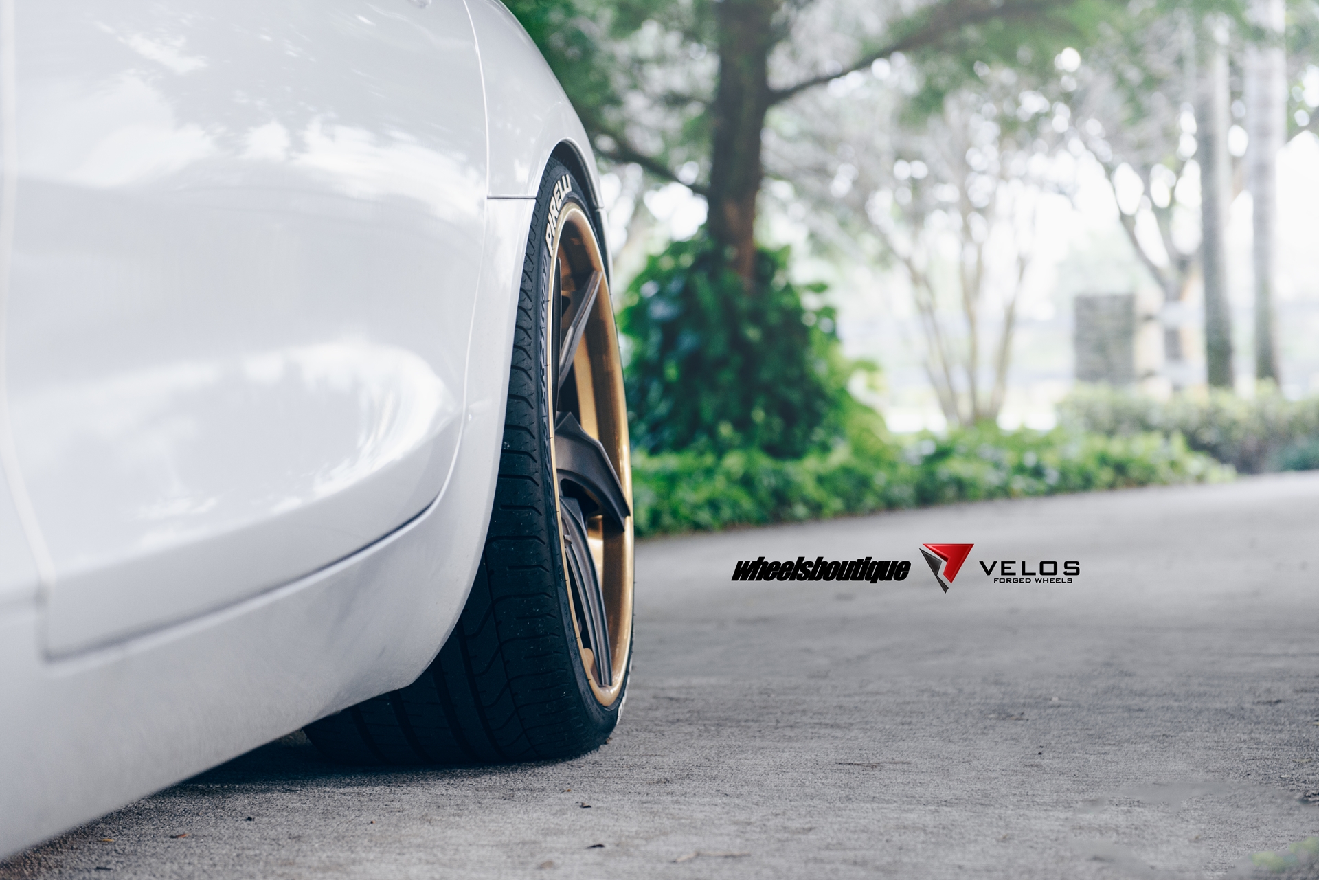 Velos Designwerks D5 3pc Floating Spoke | Mercedes AMG GT-S