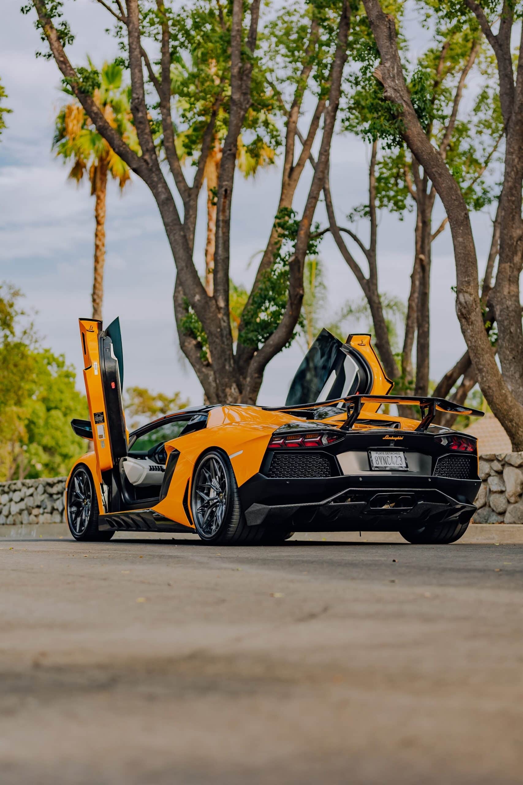 AL13 R80 | Lamborghini Aventador 1