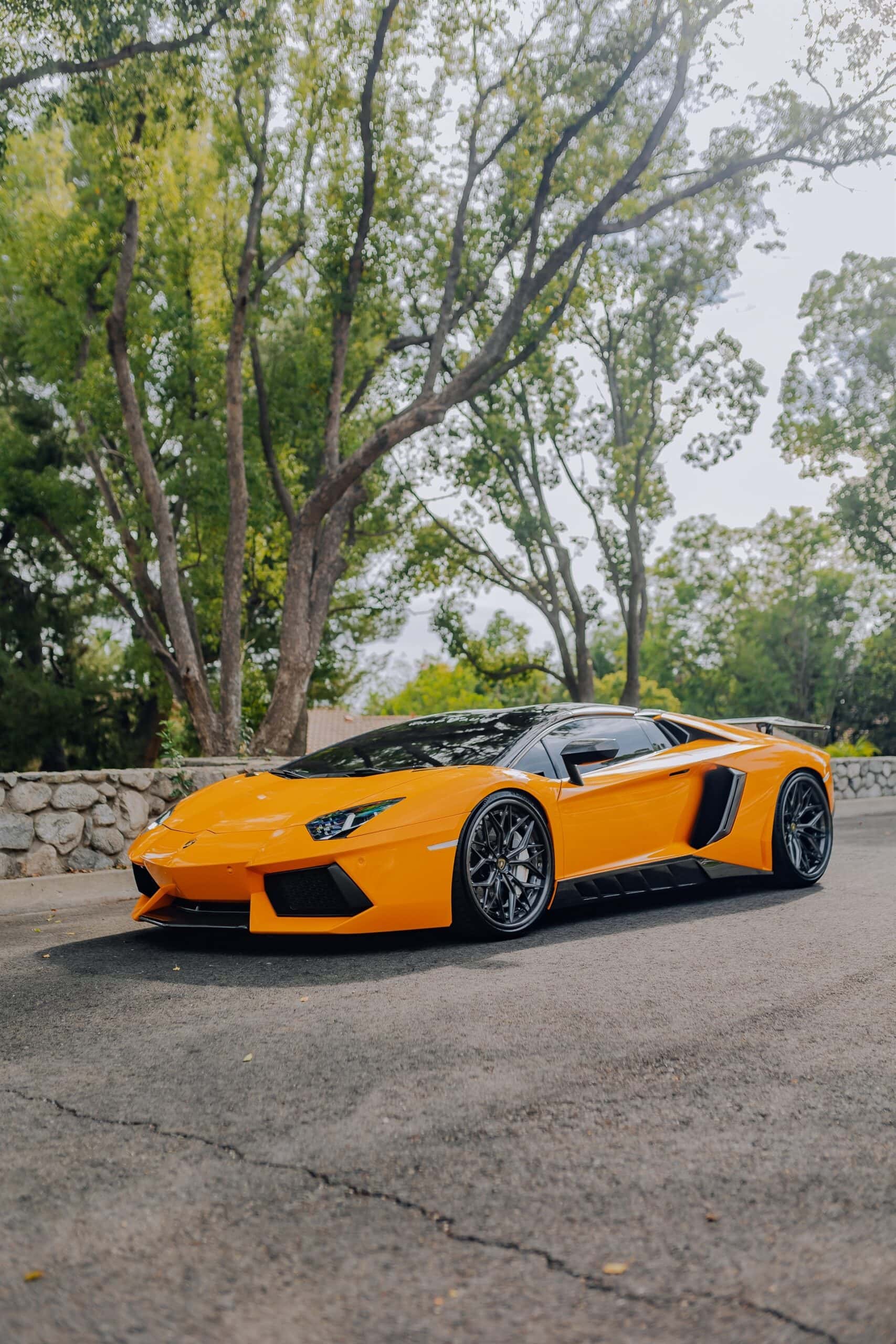 Photo 24 of AL13 R80 | Lamborghini Aventador 1