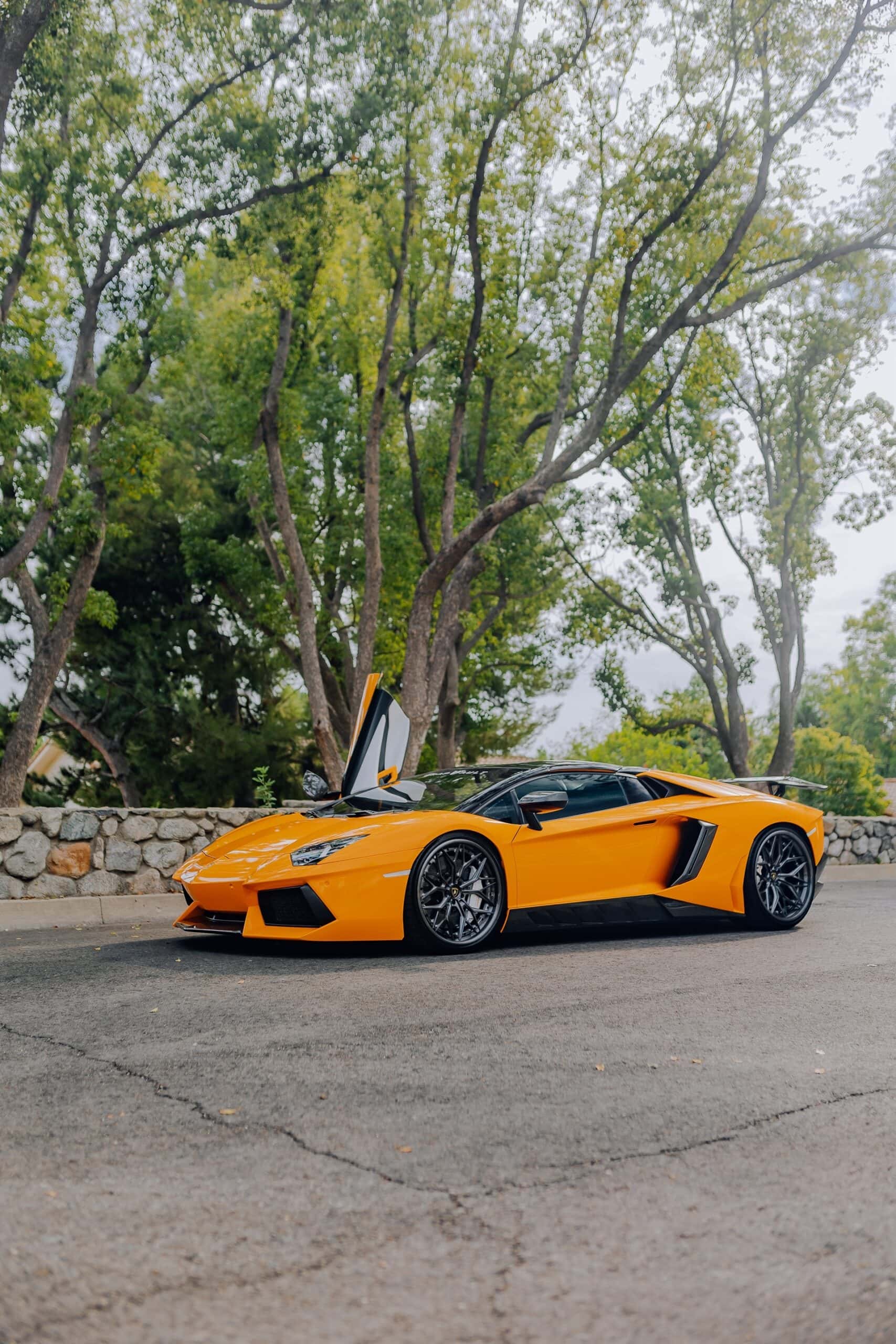 Photo 25 of AL13 R80 | Lamborghini Aventador 1