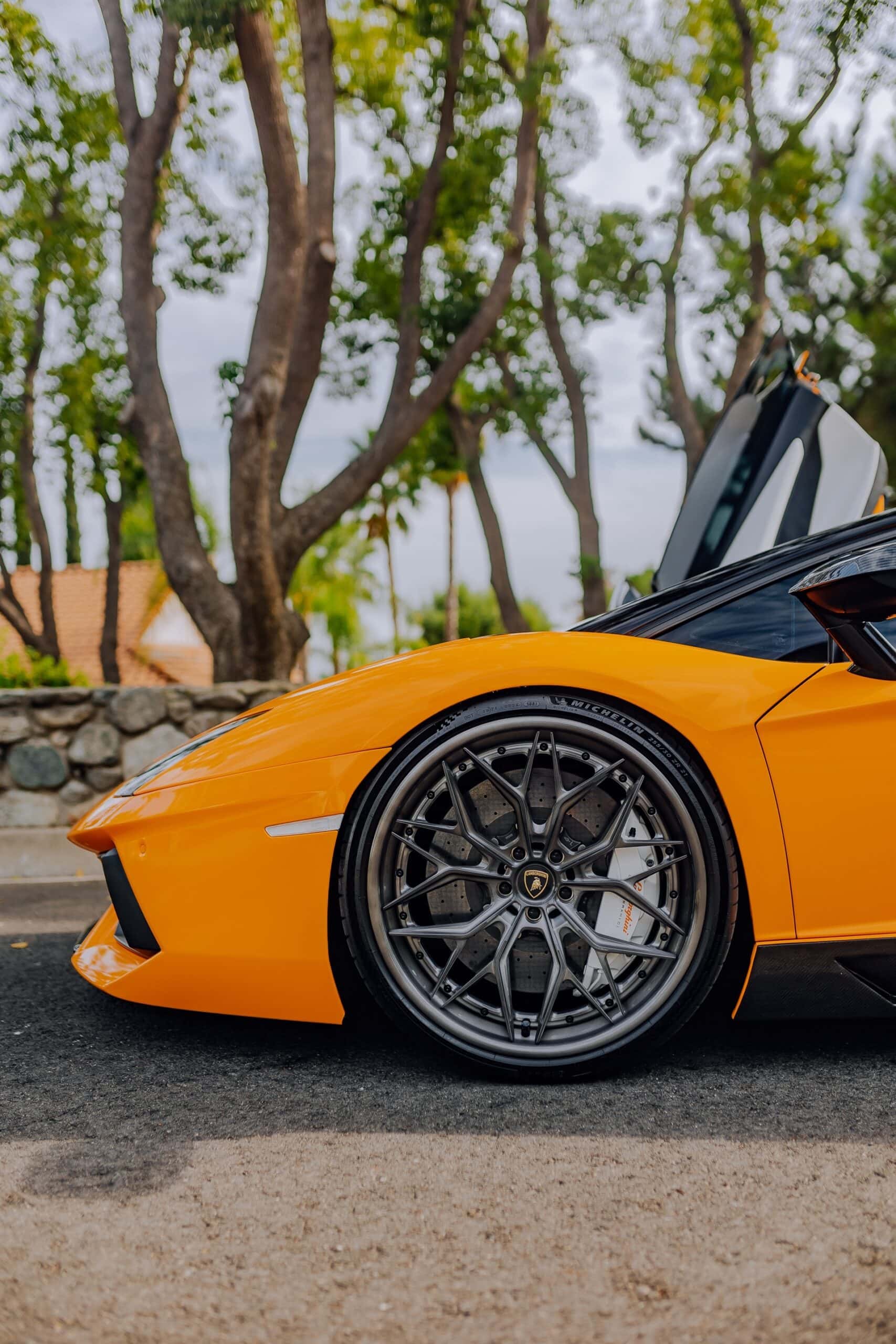 Photo 30 of AL13 R80 | Lamborghini Aventador 1