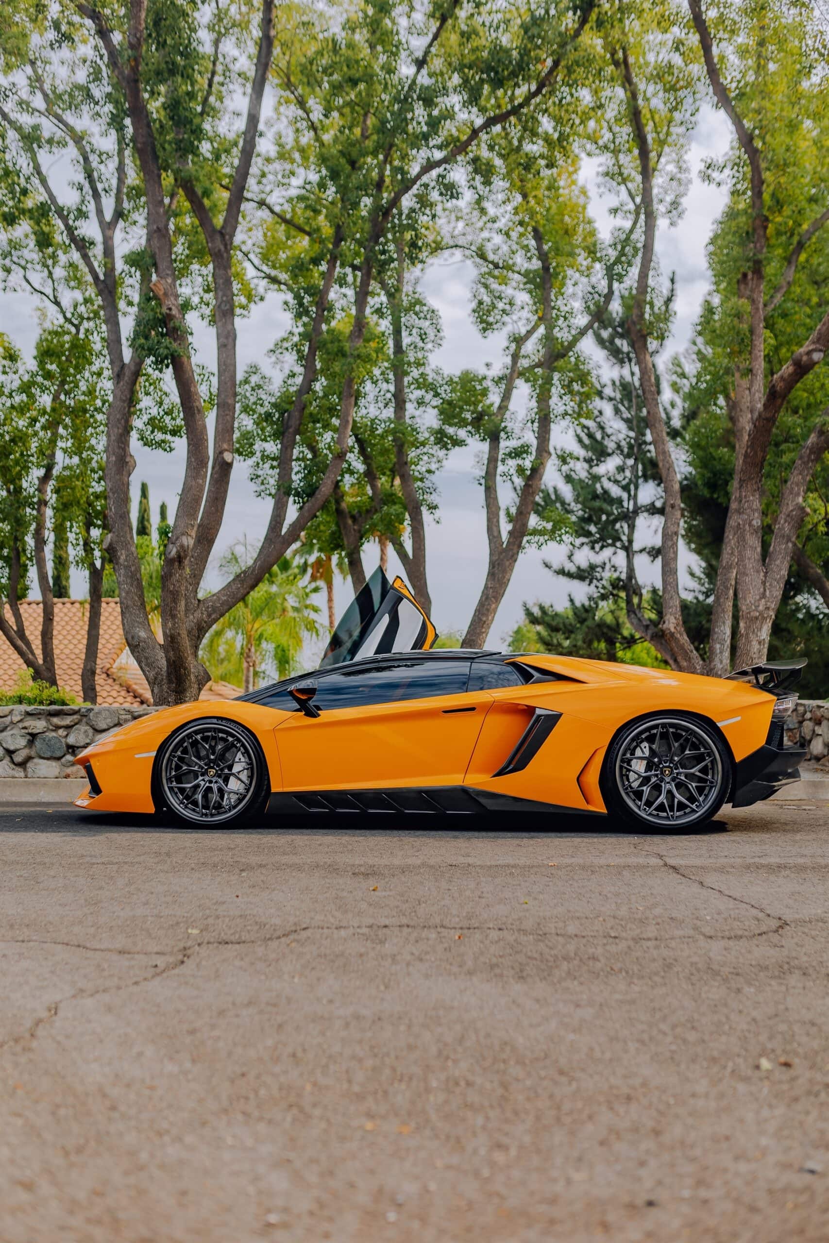 Photo 35 of AL13 R80 | Lamborghini Aventador 1