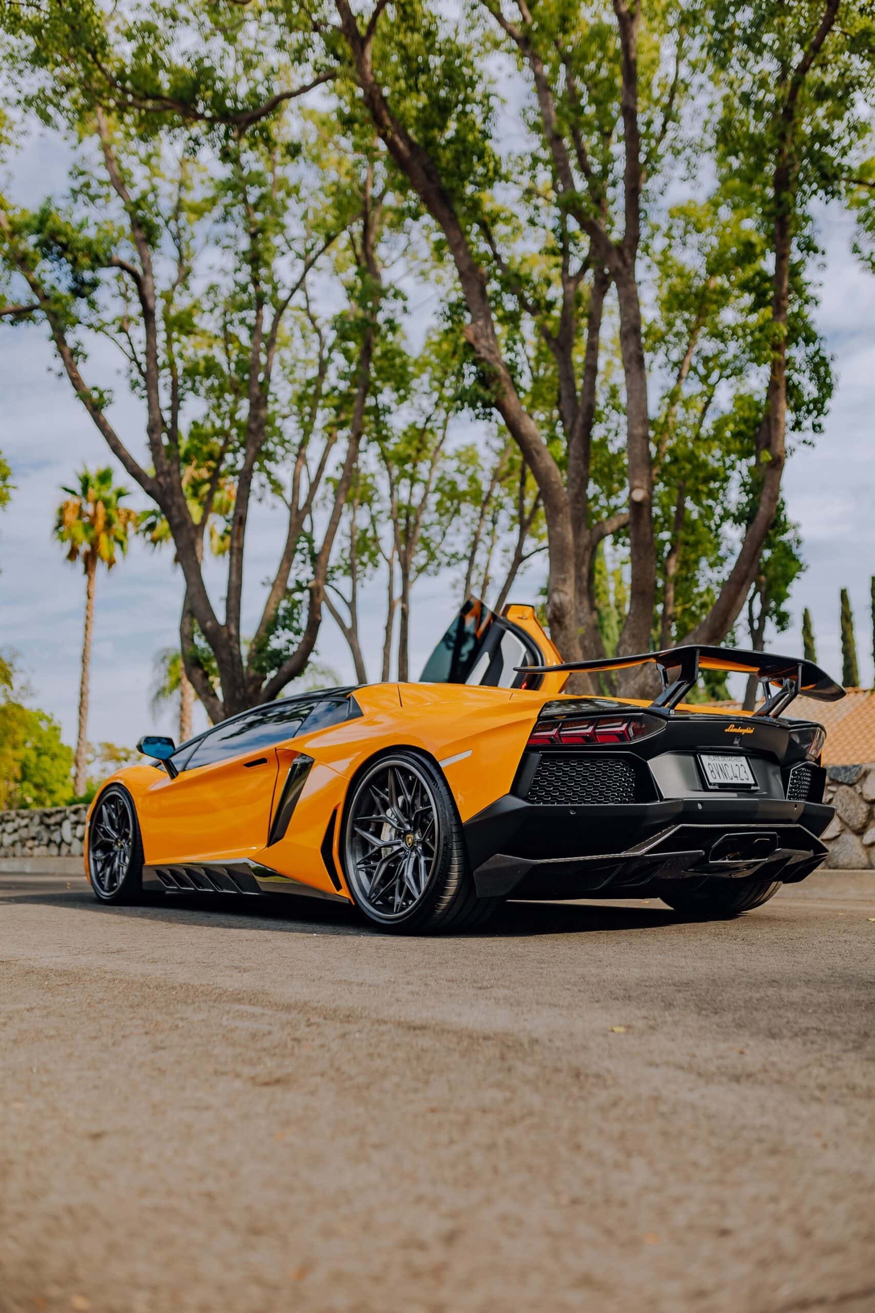 Photo 42 of AL13 R80 | Lamborghini Aventador 1