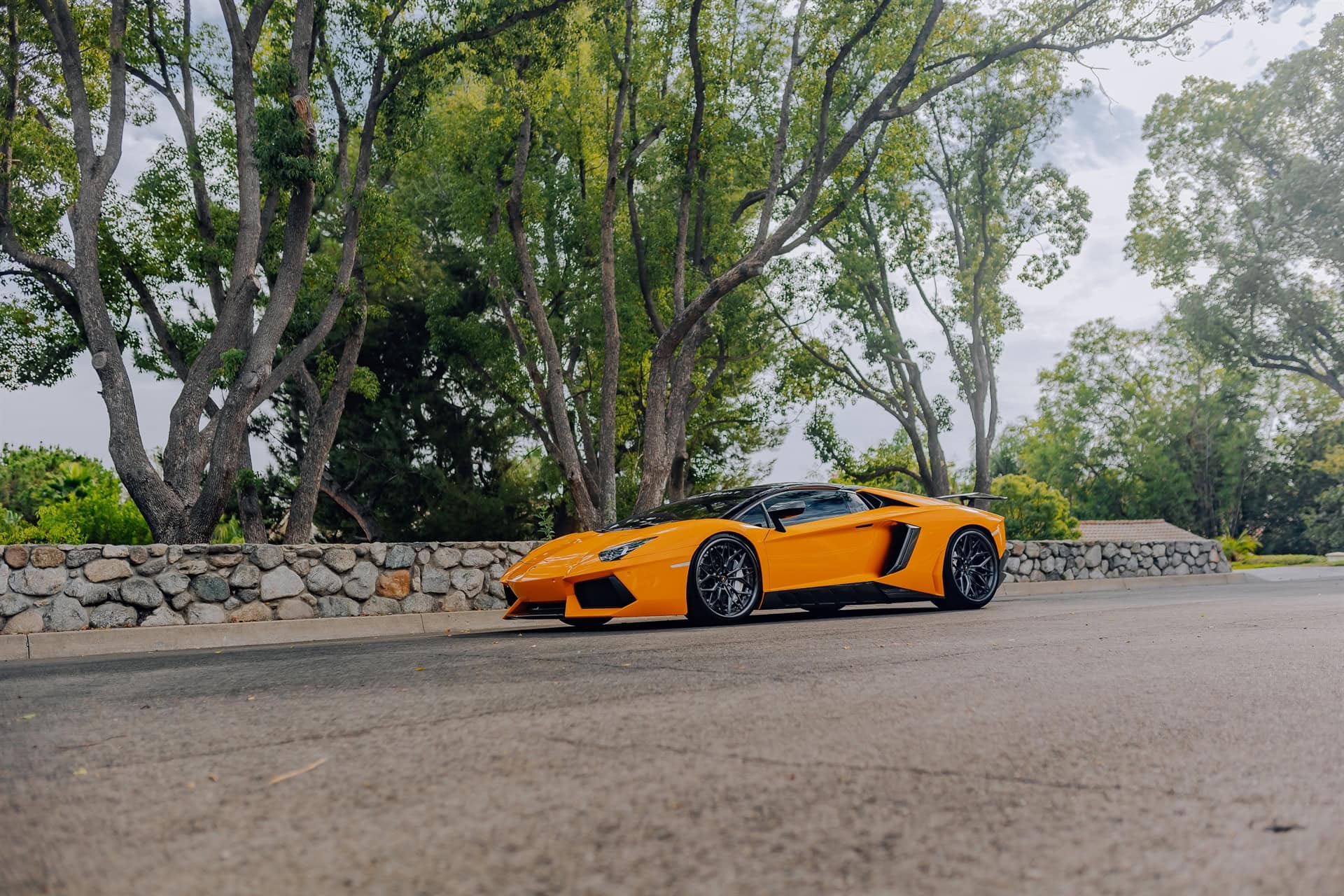 Photo 51 of AL13 R80 | Lamborghini Aventador 1