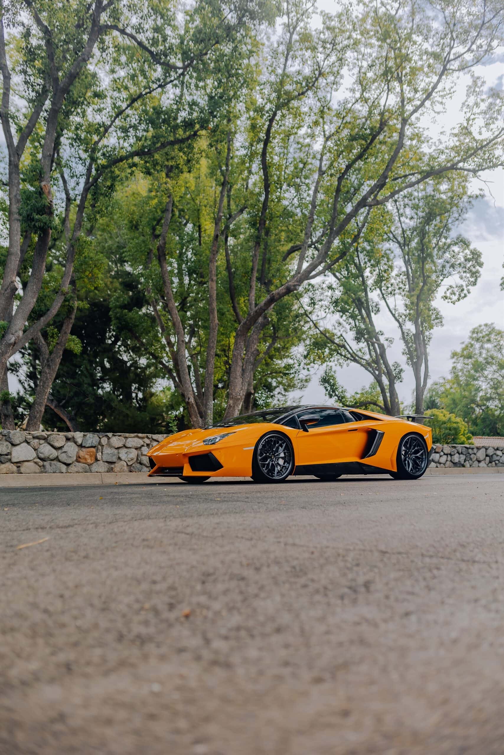 Photo 52 of AL13 R80 | Lamborghini Aventador 1
