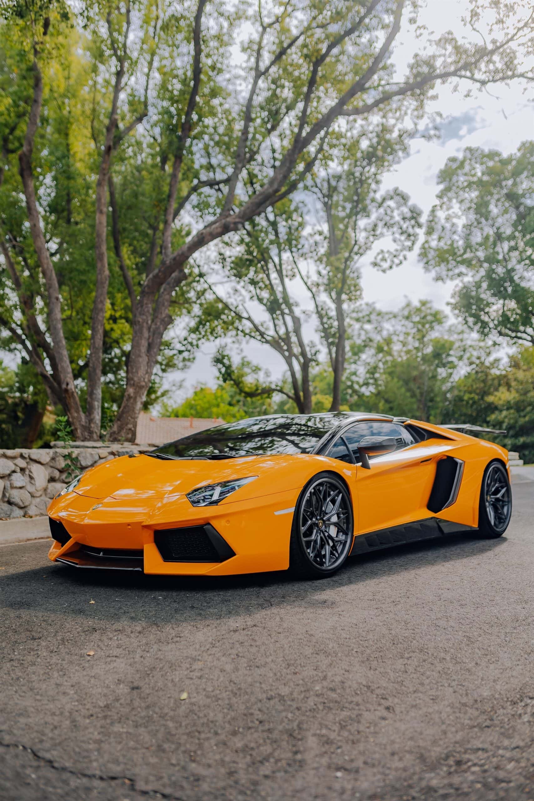 Photo 53 of AL13 R80 | Lamborghini Aventador 1