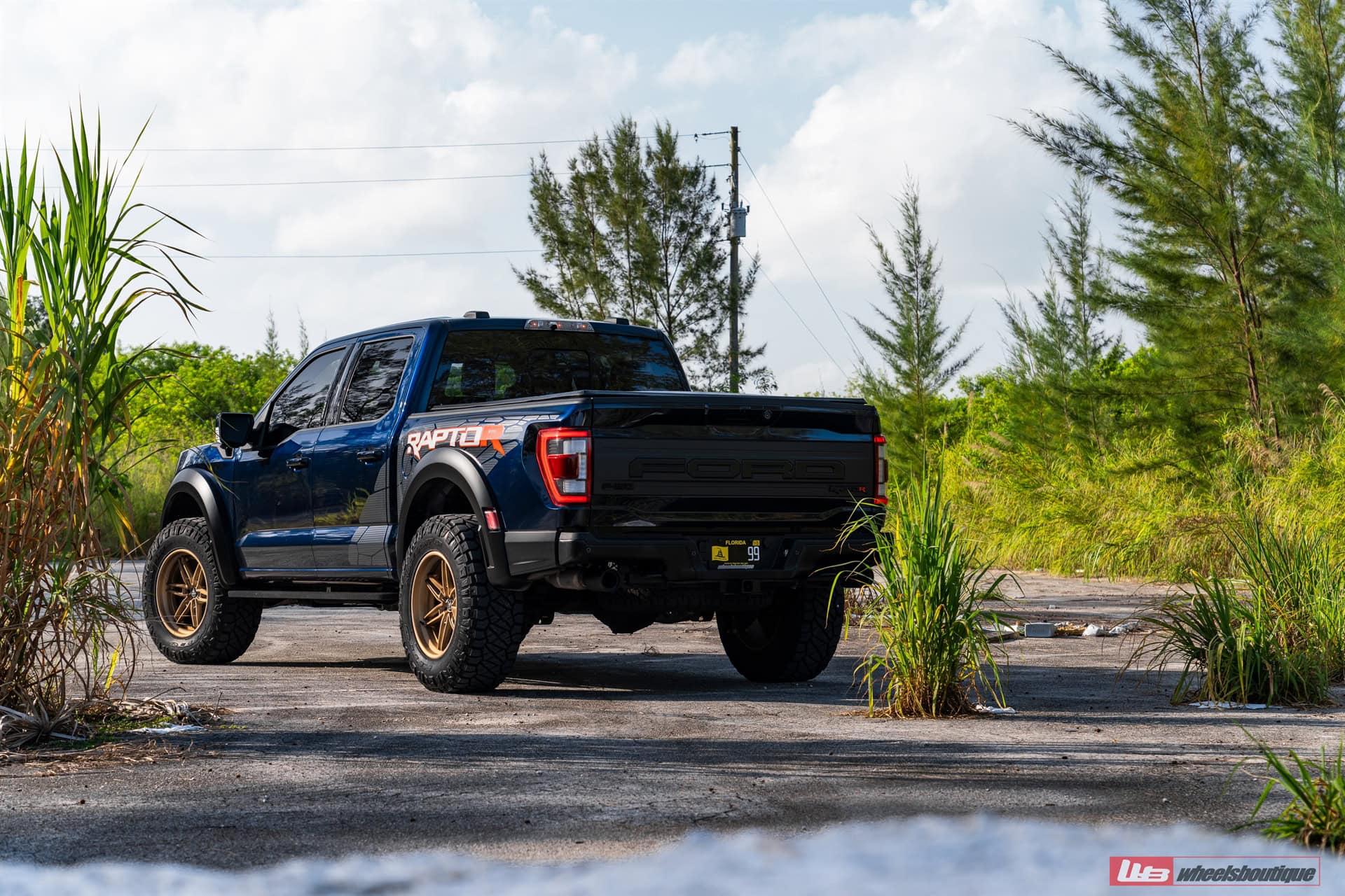 Photo 31 of ANRKY AN36-O | Ford Raptor R