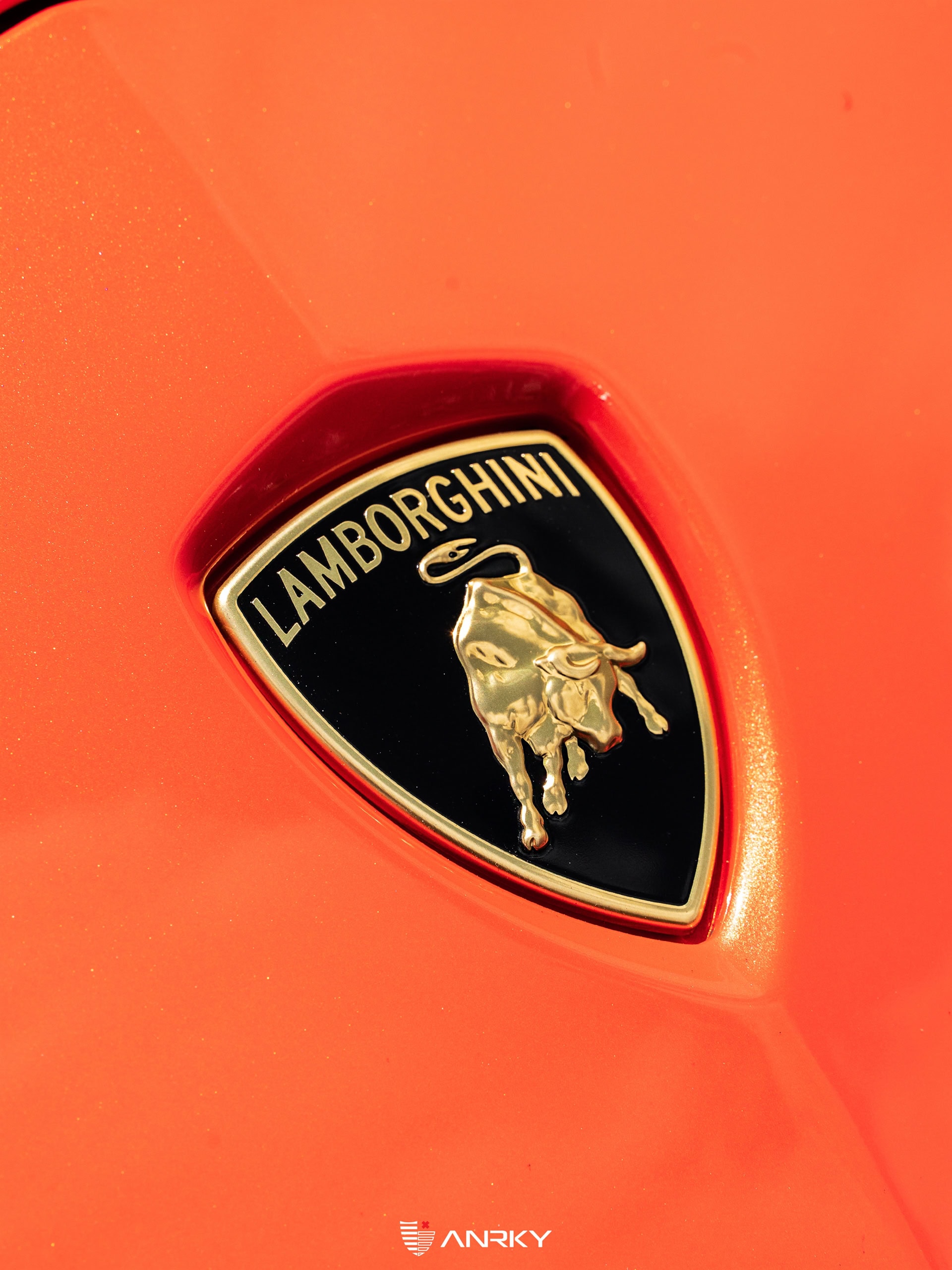 Lamborghini Aventador Ultimae Roadster – AN20+AEROSport