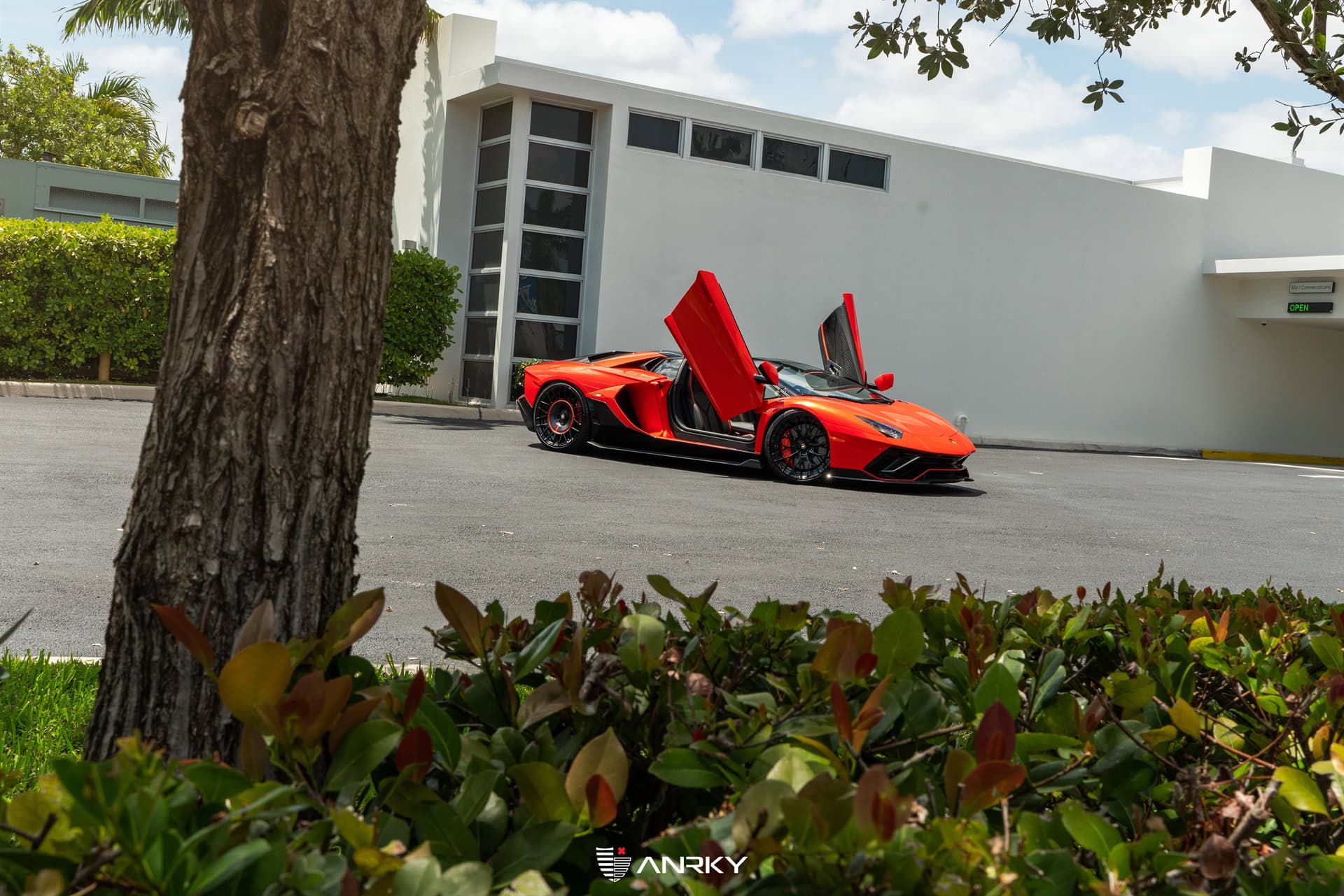 Photo 26 of Lamborghini Aventador Ultimae Roadster – AN20+AEROSport
