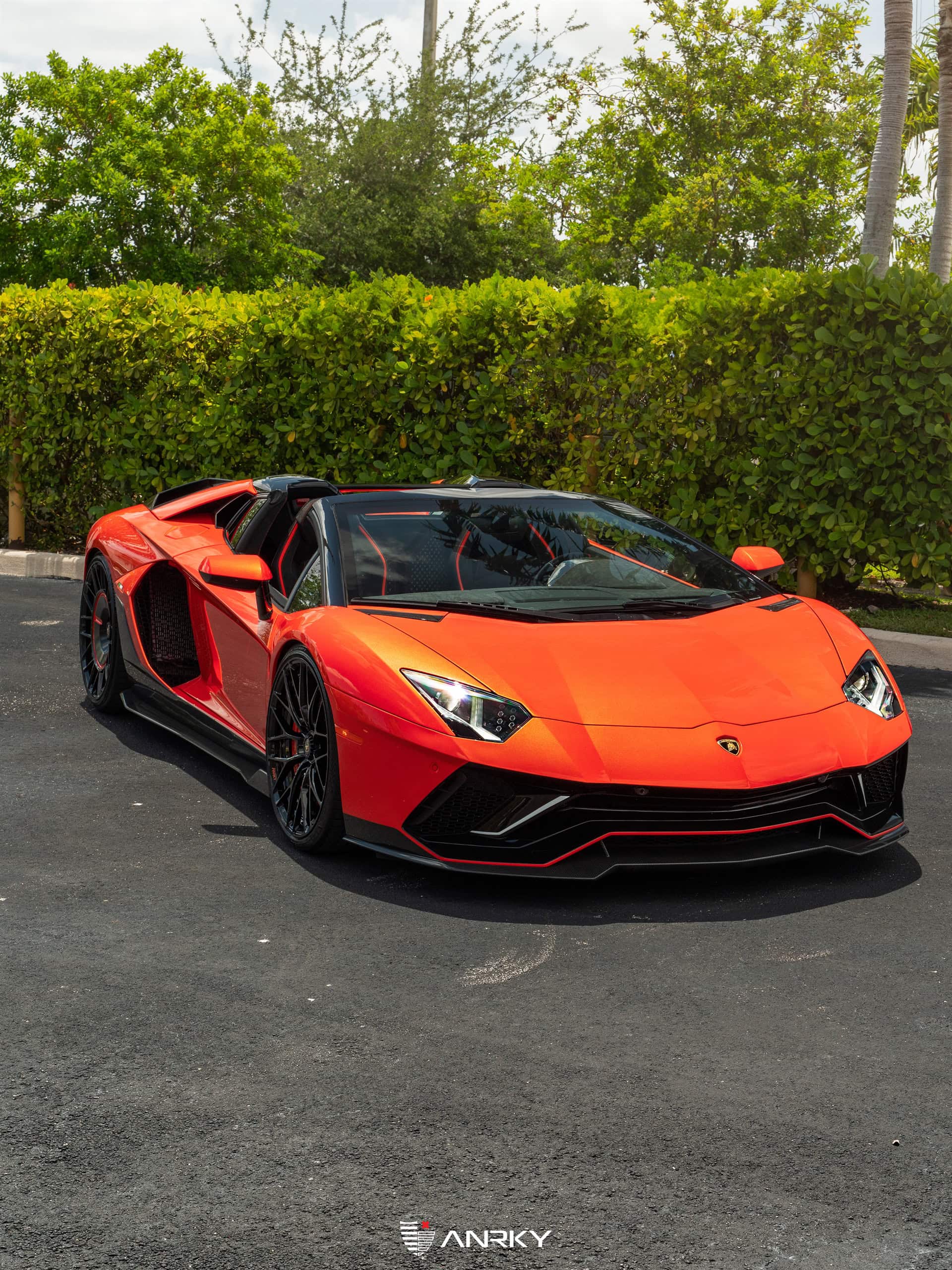 Photo 32 of Lamborghini Aventador Ultimae Roadster – AN20+AEROSport