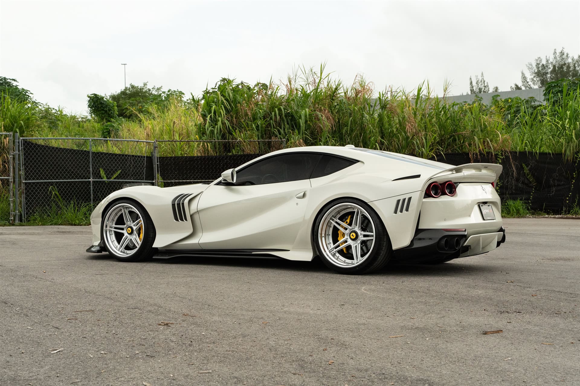 ZACOE 812 GTS | Bianco Fuji | on 1886 XR003 | Brushed Clear