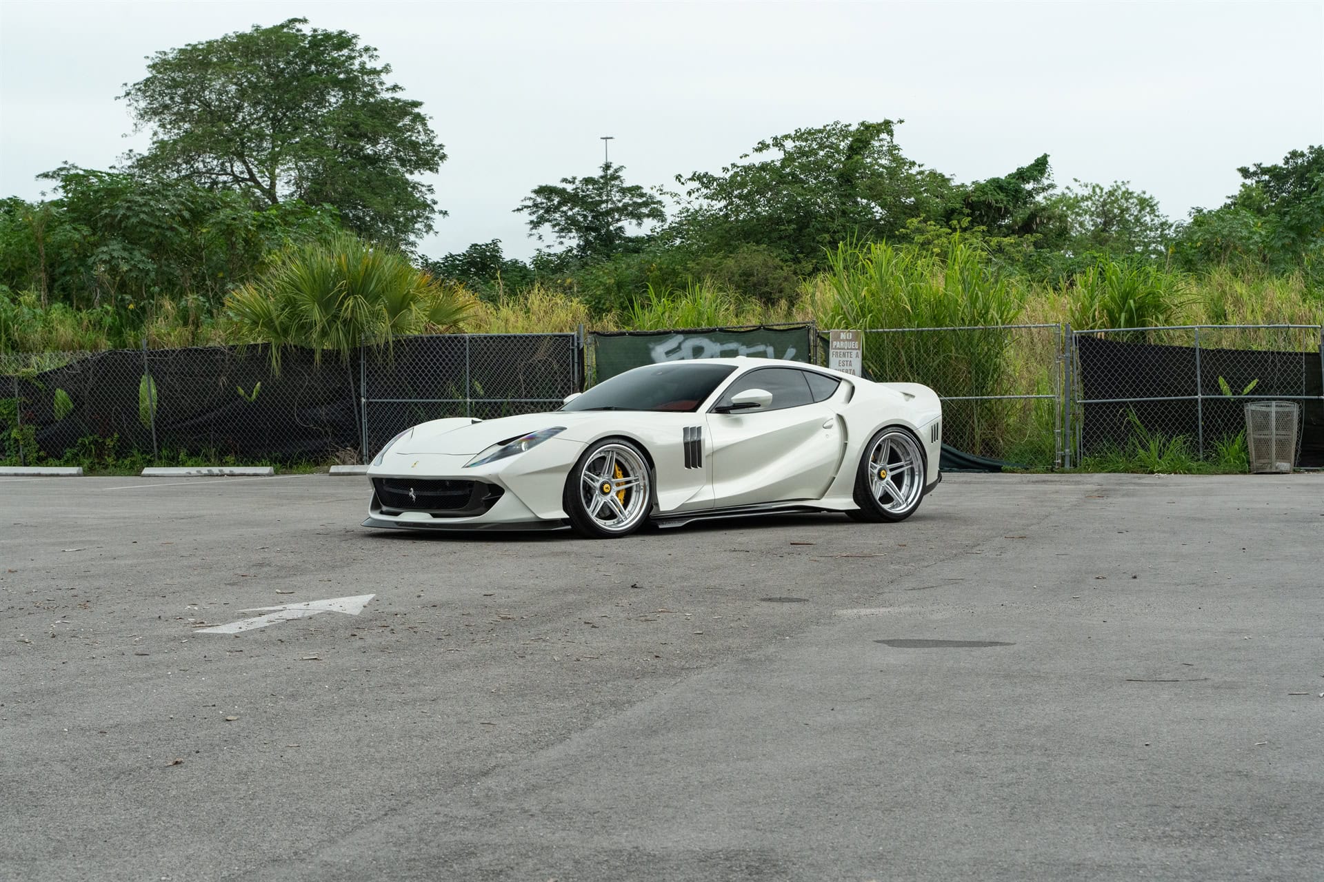 ZACOE 812 GTS | Bianco Fuji | on 1886 XR003 | Brushed Clear