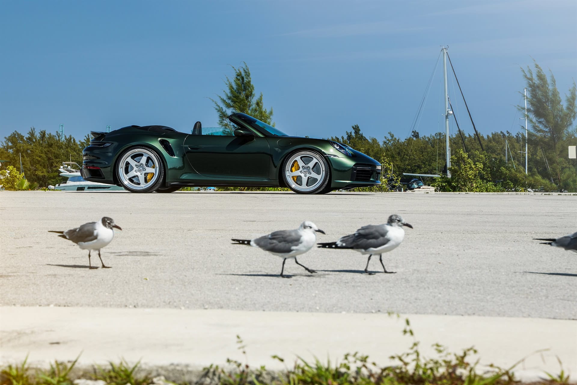 HRE 527S | Porsche 992 Turbo S Cabriolet
