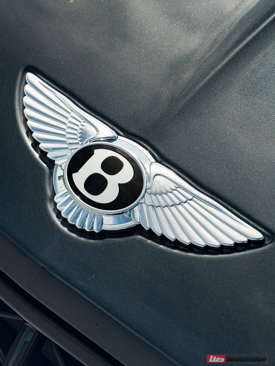 Photo 30 of Bentley Continental Speed GTC – XR|Series XR-105