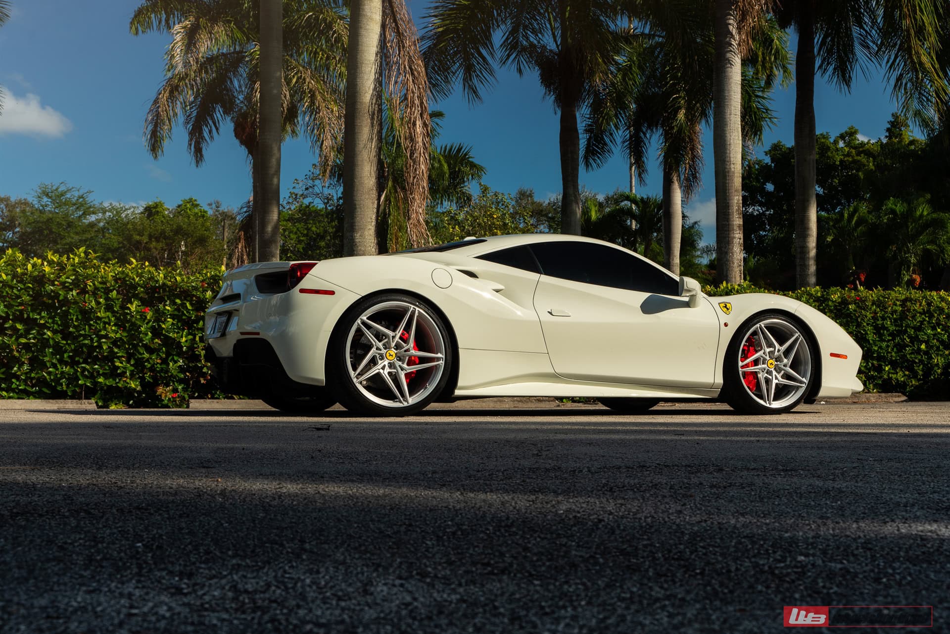 Photo 29 of Ferrari 488 GTB | Bianco Fuji | on ANRKY S1-X3 | Brushed Clear